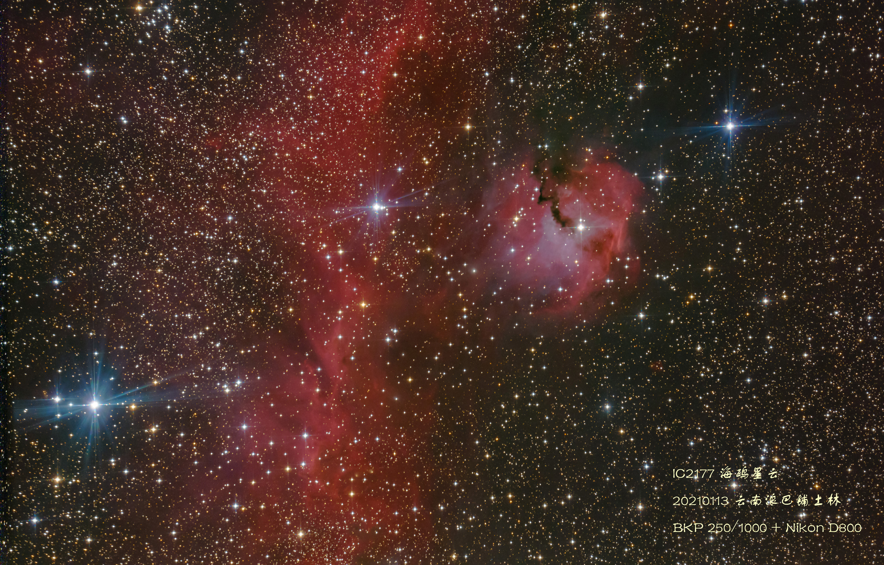 ic2177.jpg