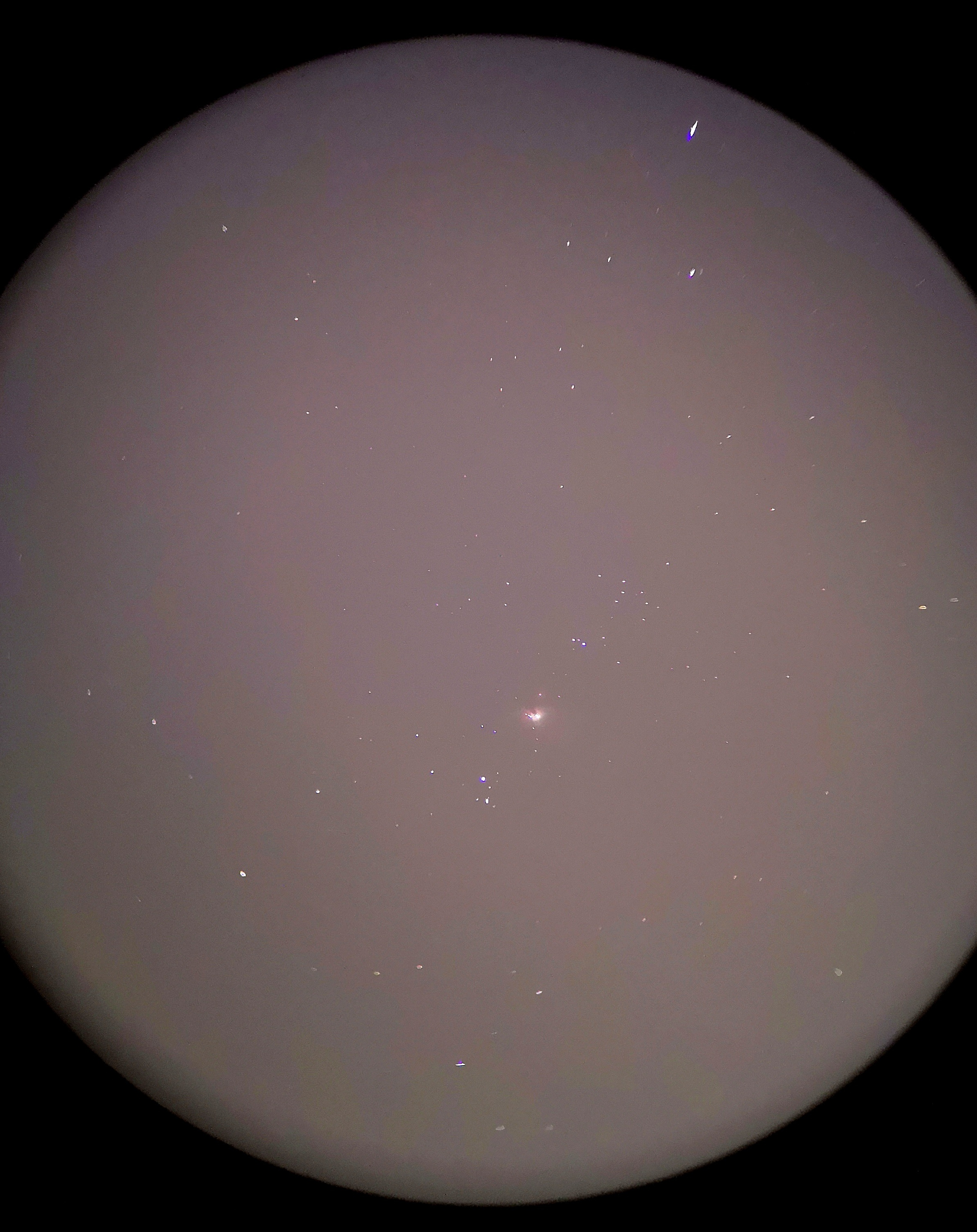 M42.jpg