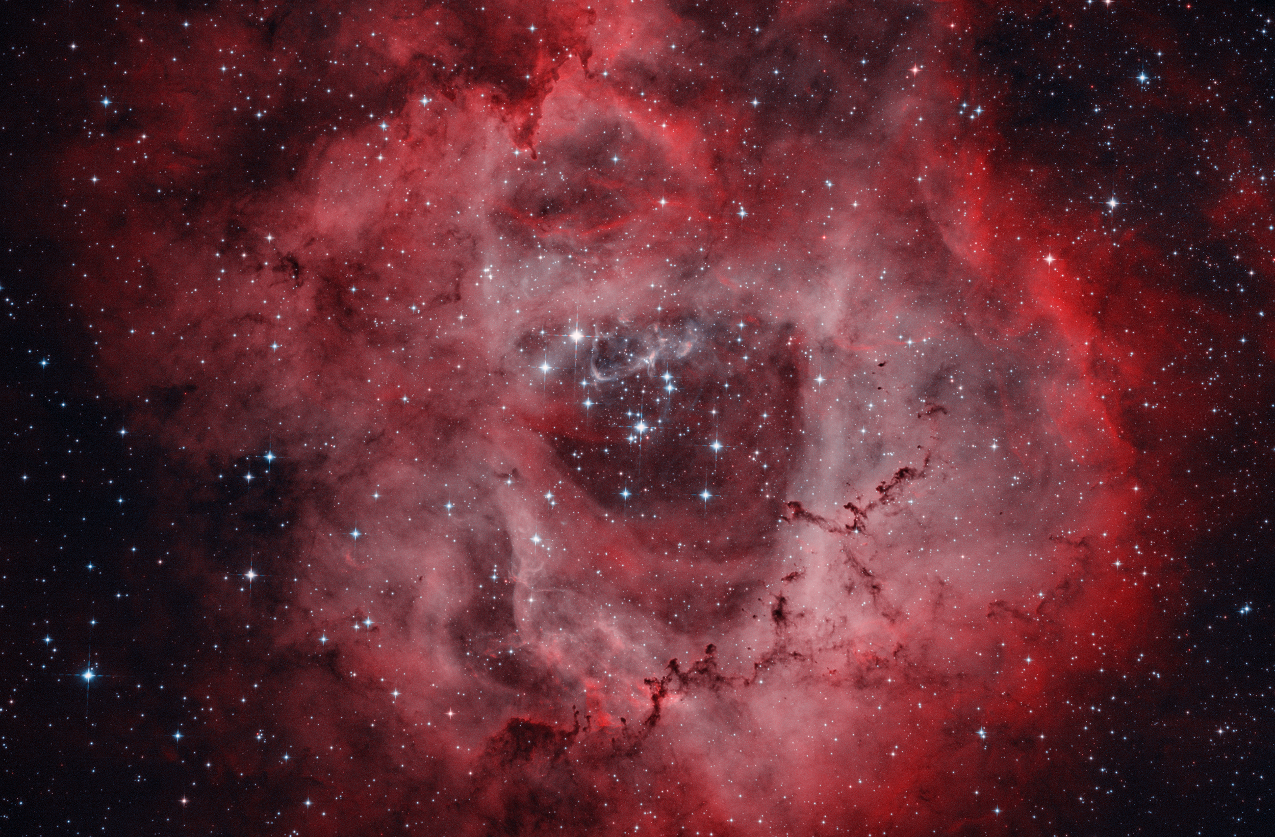 NGC2244.jpg