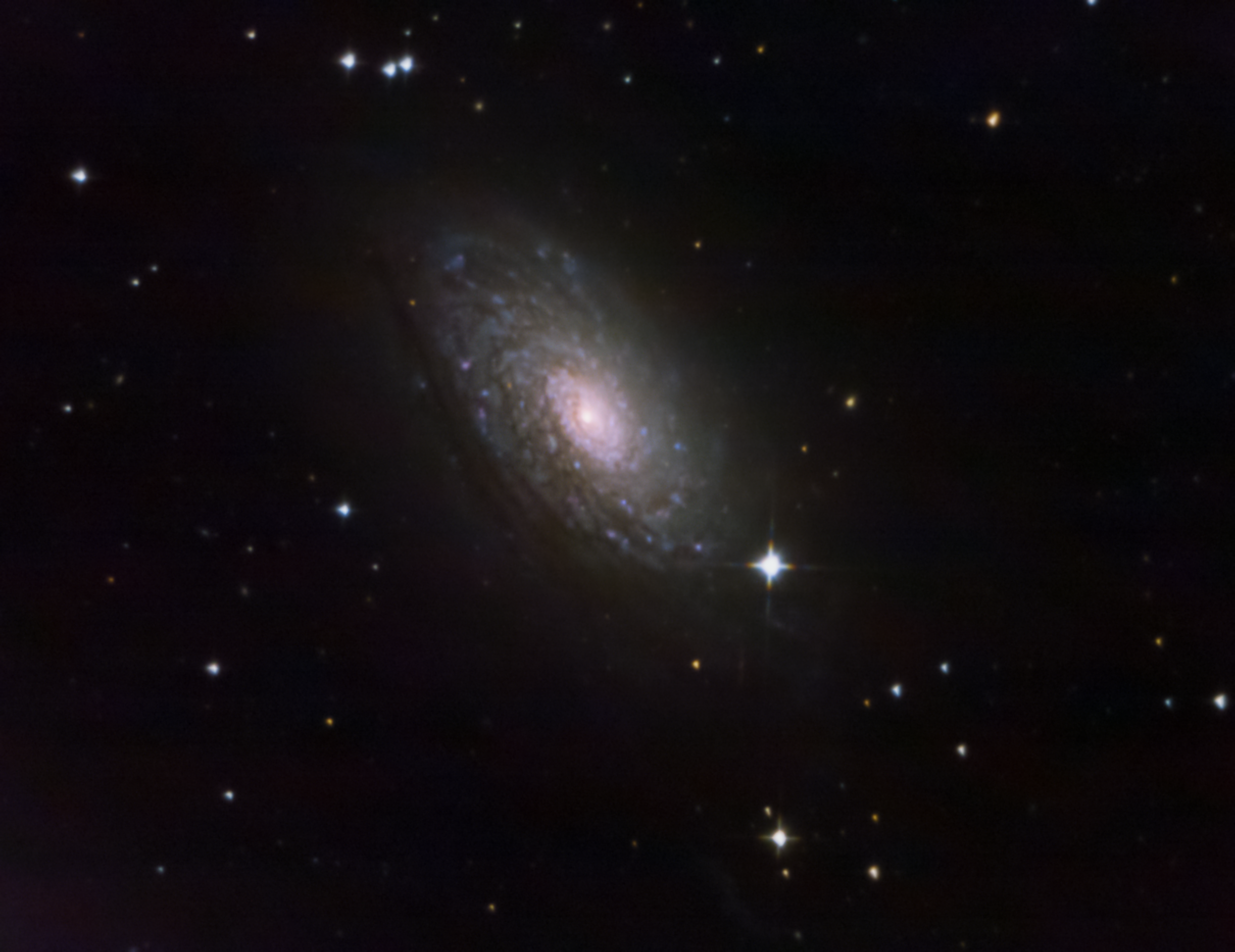 m63.jpg