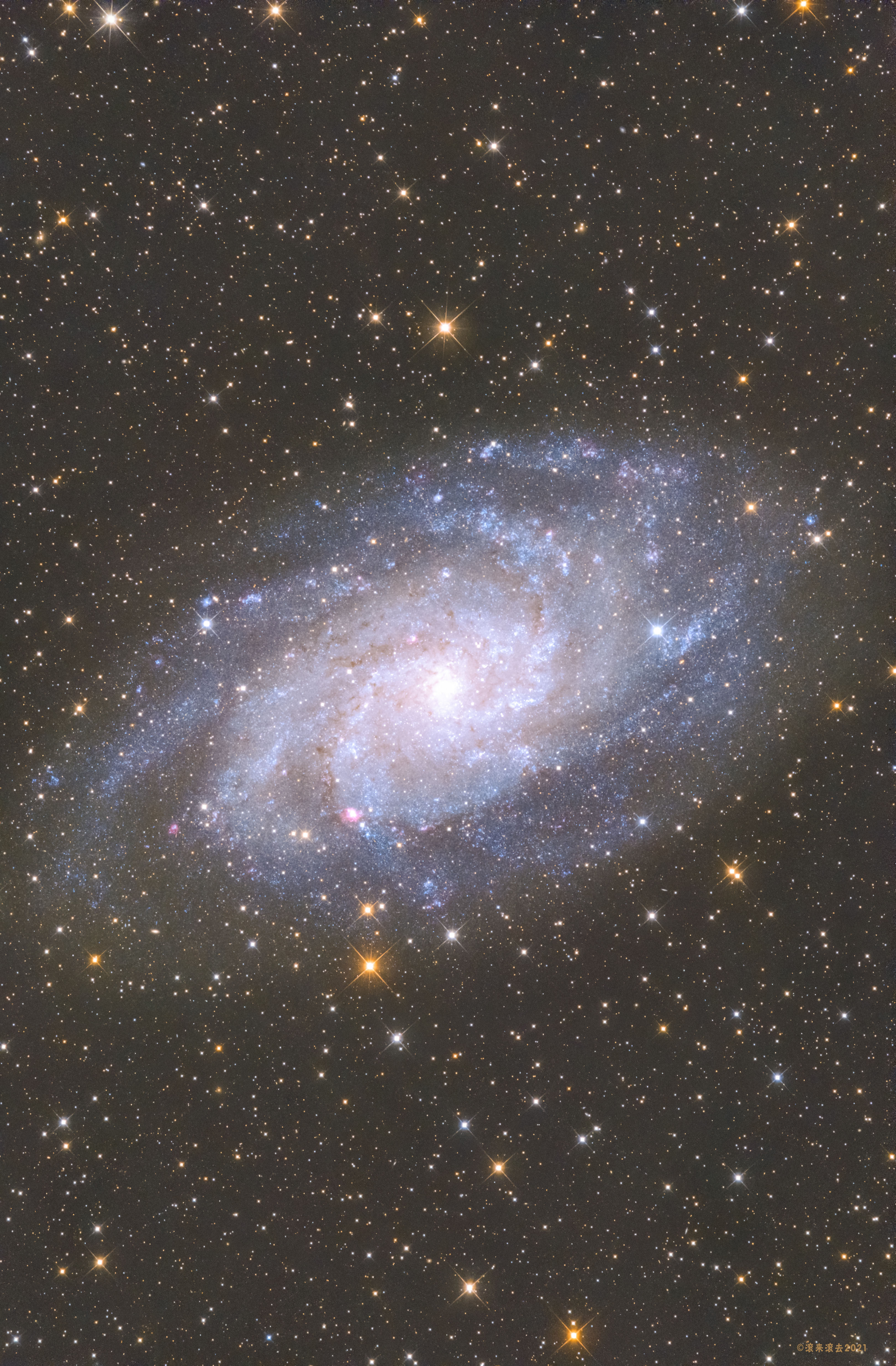 M33