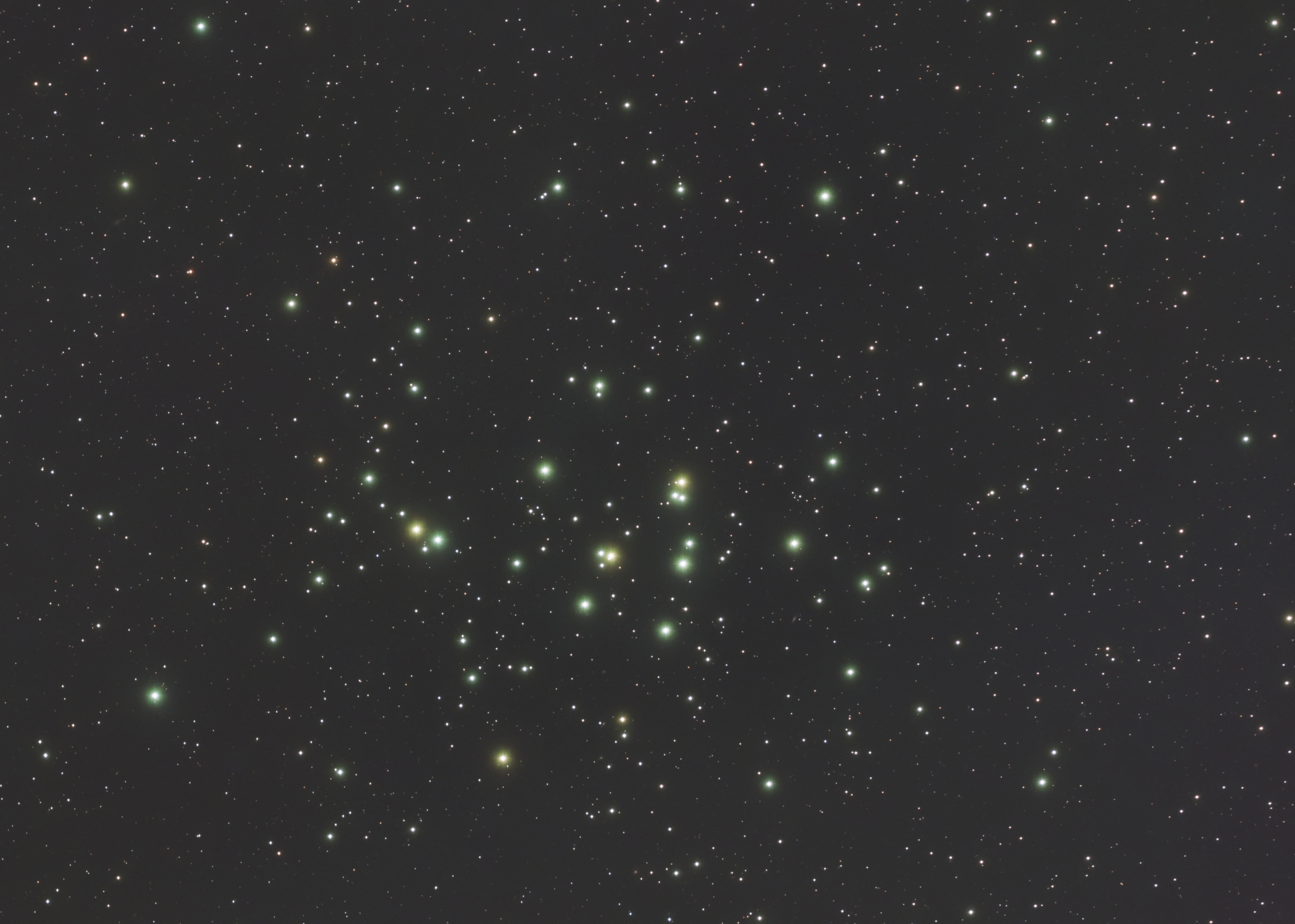 M44-RGB-33P.jpg