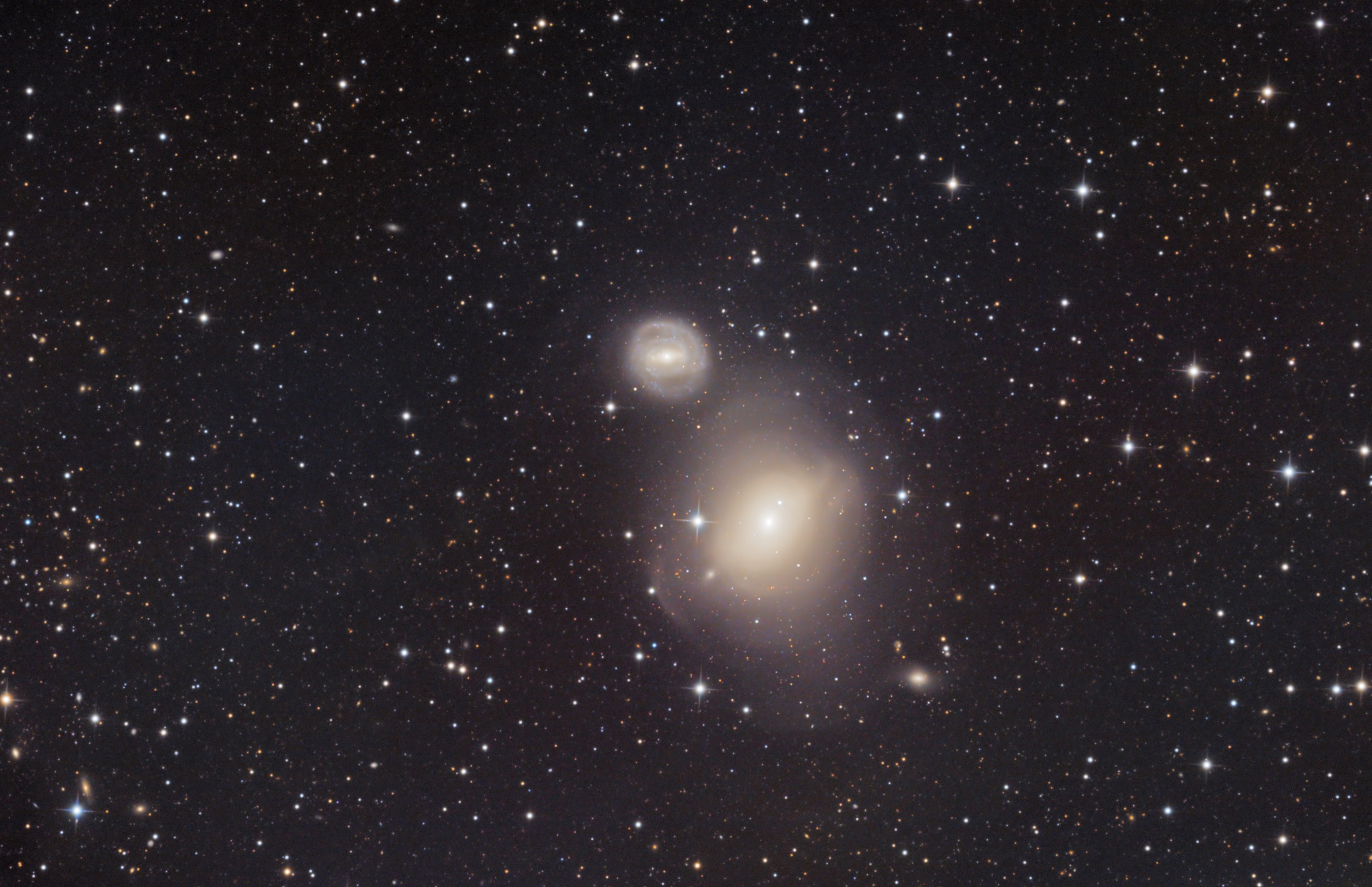 M85