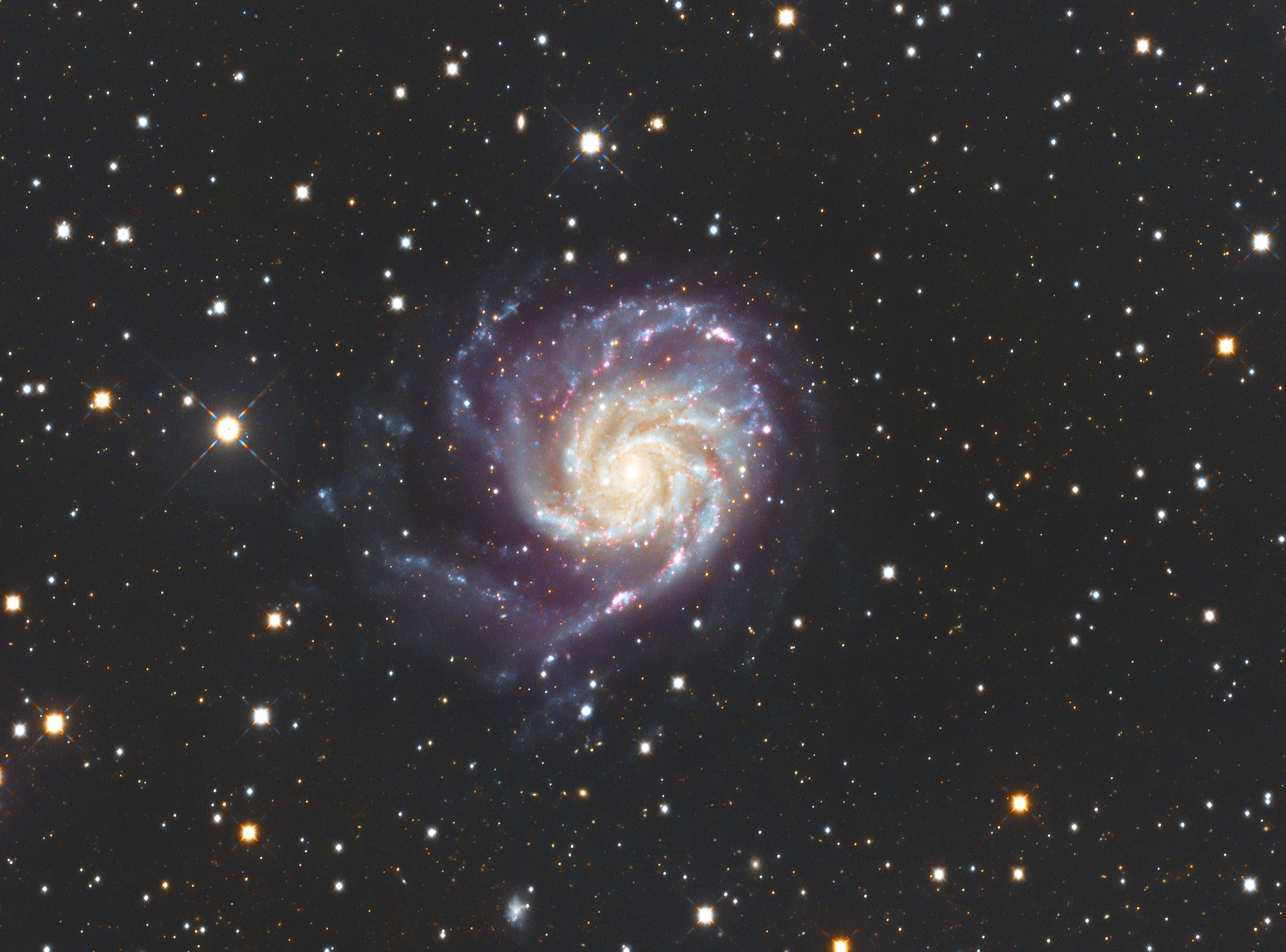 M101-1.jpg