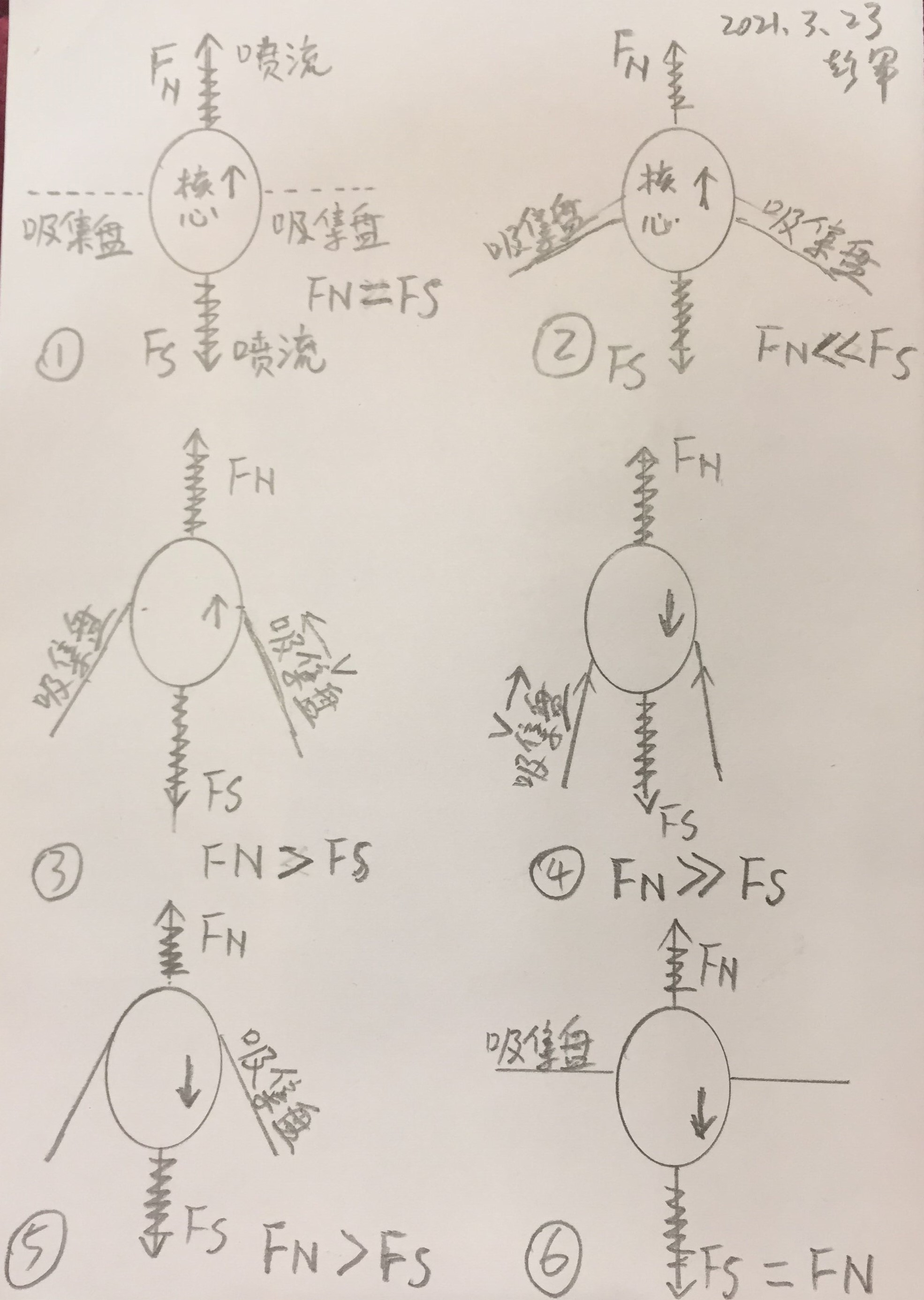 星核振动原理 (2).jpg