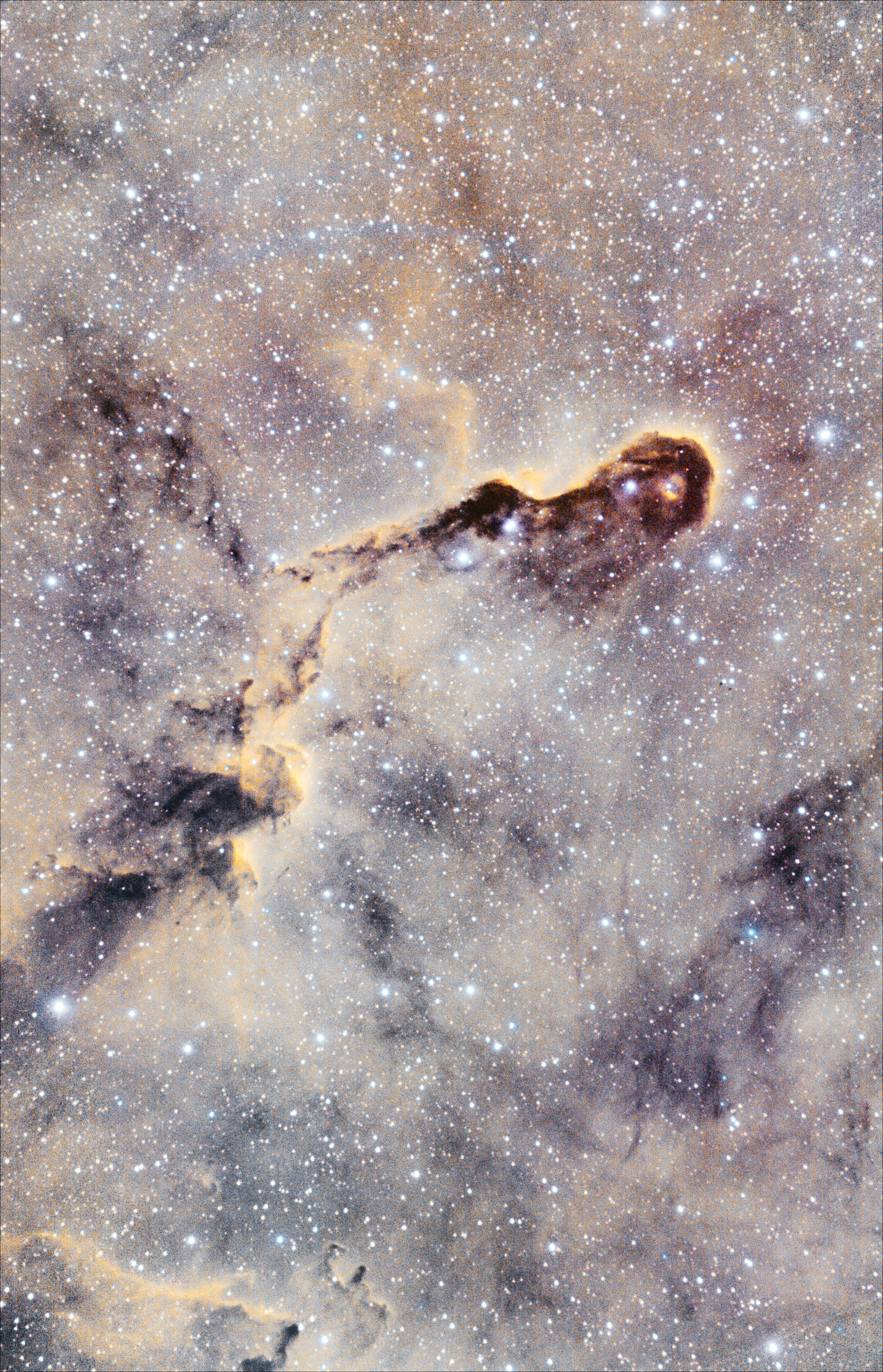 IC1396