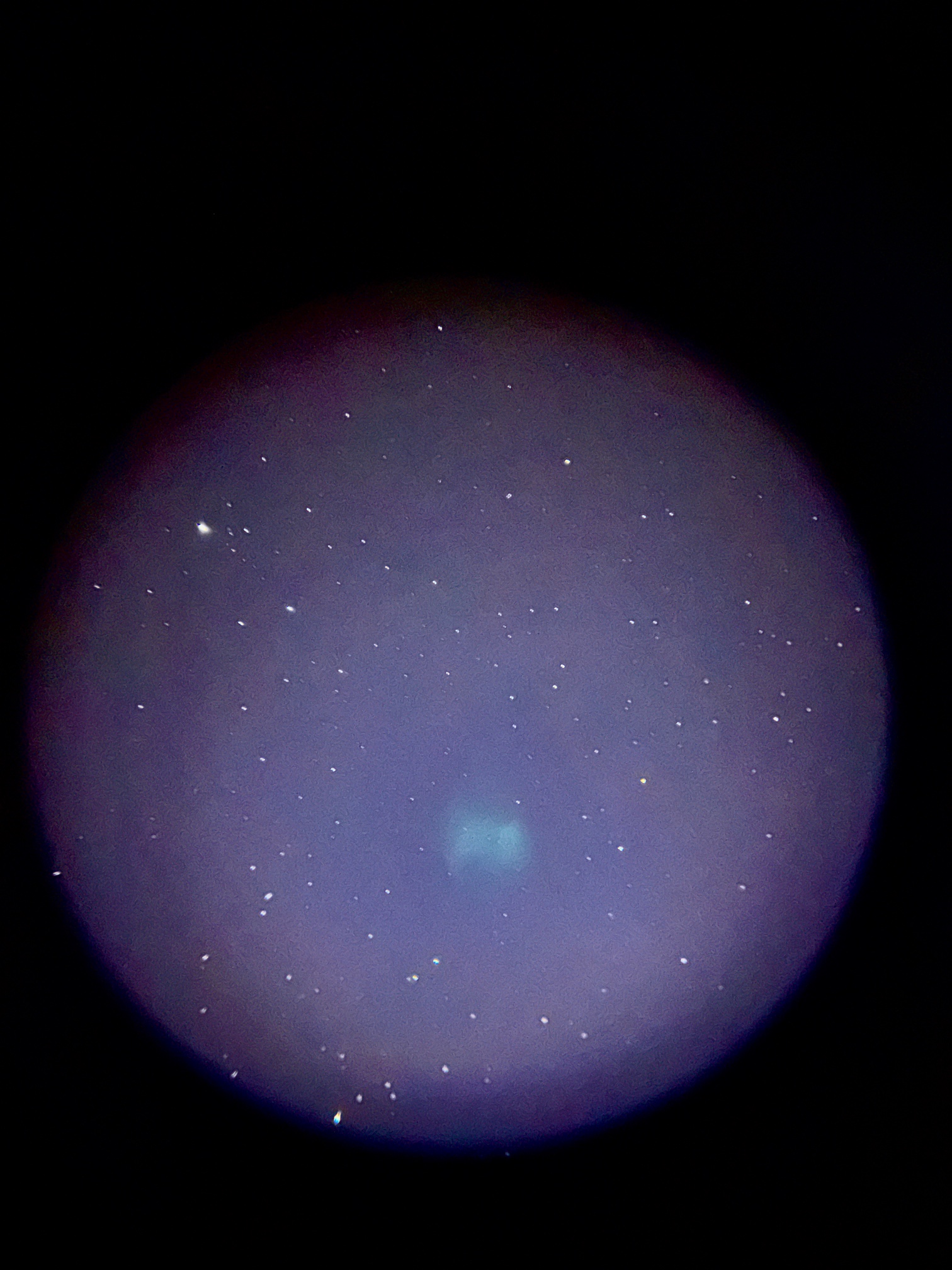 1628126227907566443.jpg