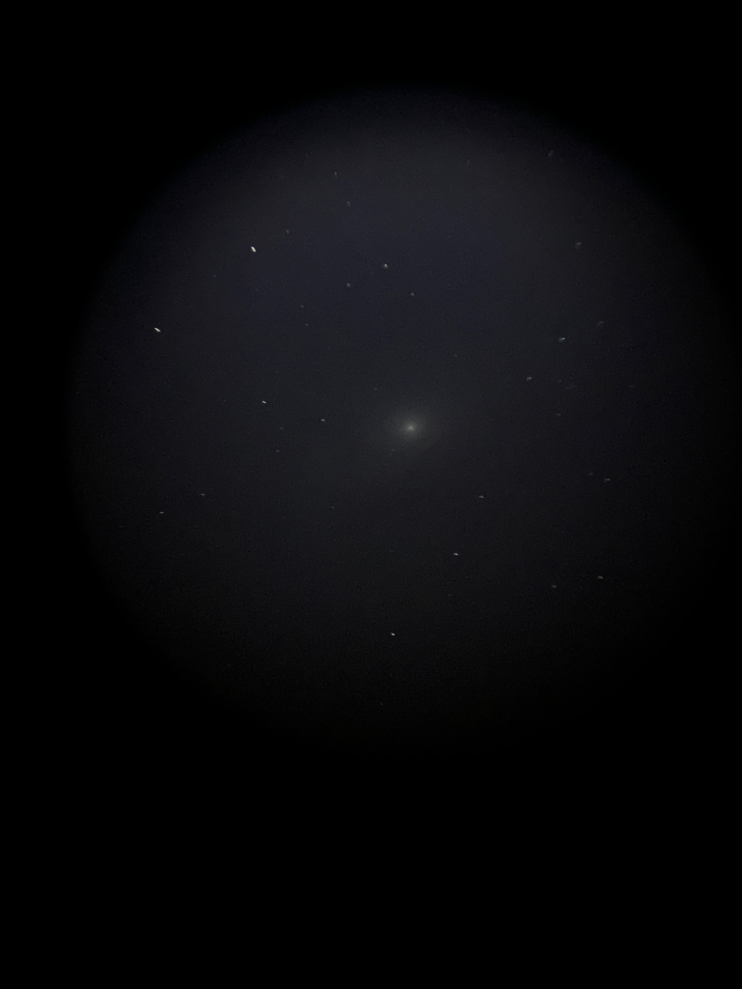 162812622857230582.jpg