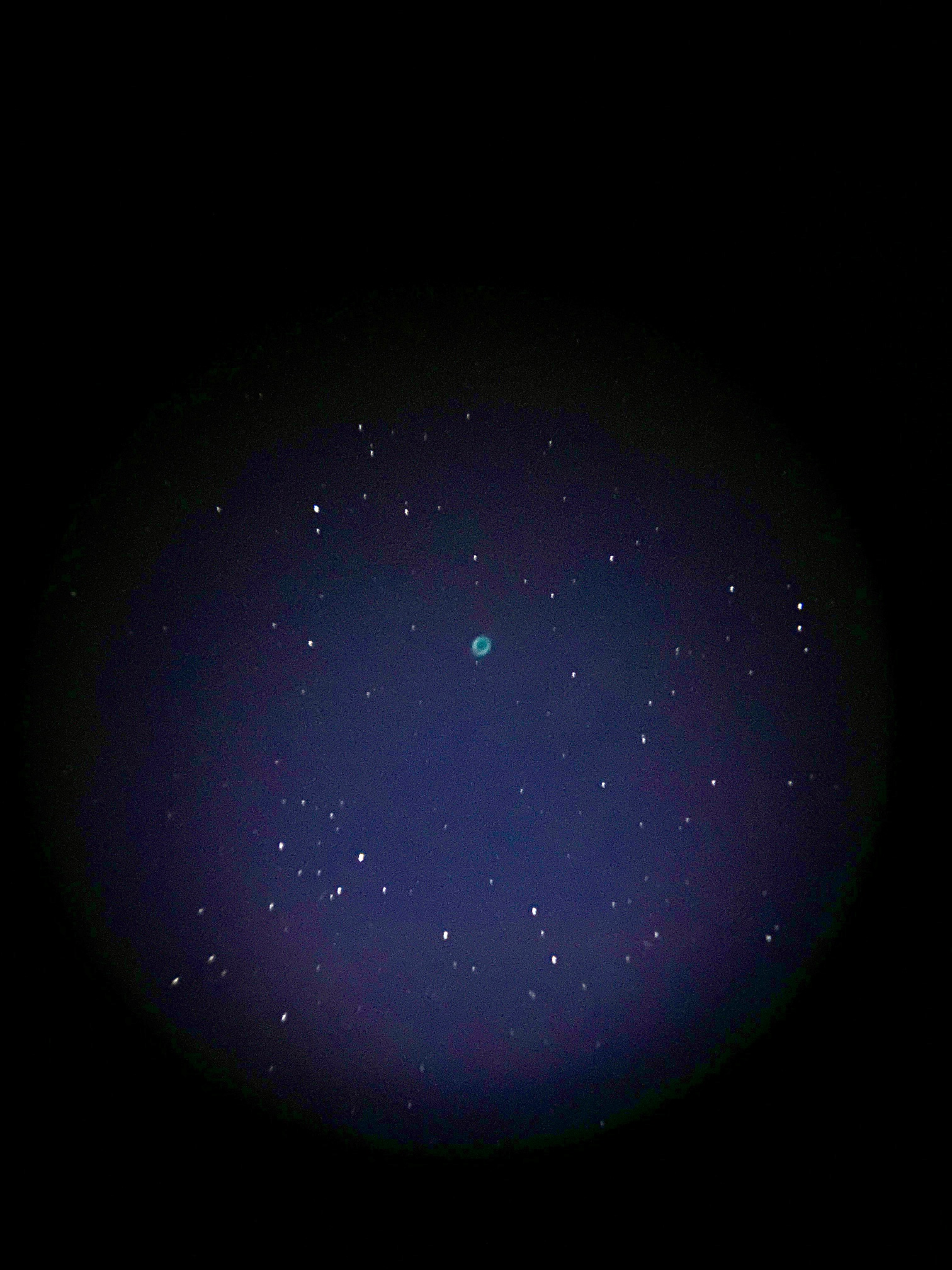 1628126252348917375.jpg