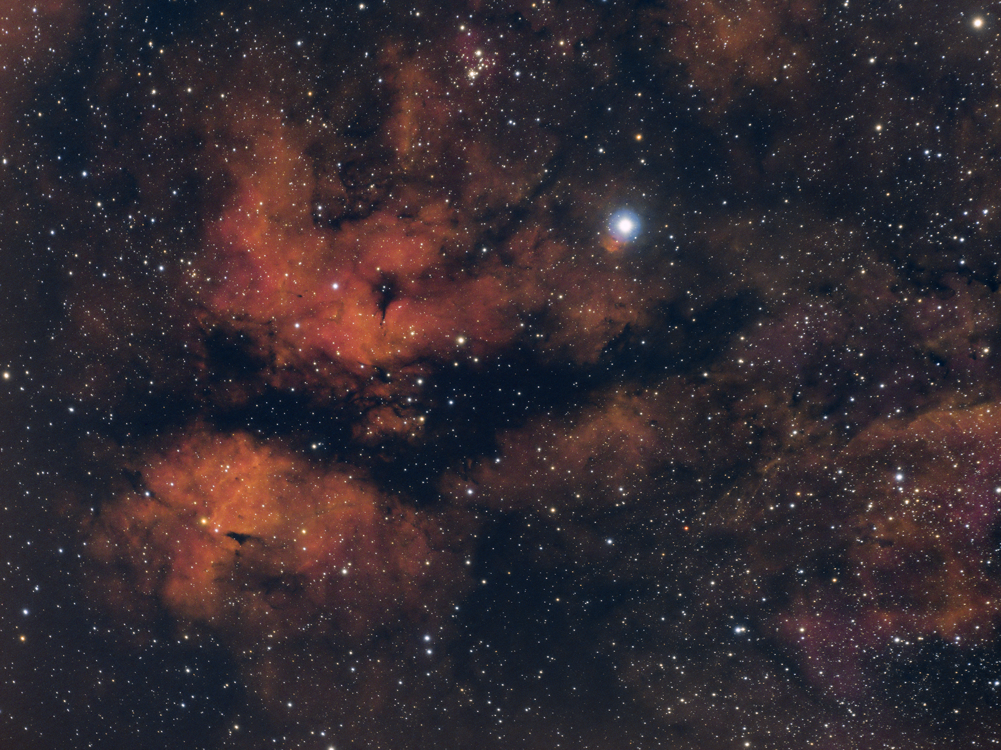 NGC6910_HSO_2000.jpg