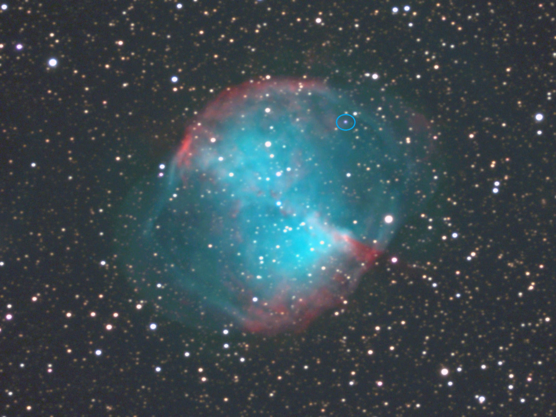 M27 (2)_副本.jpg