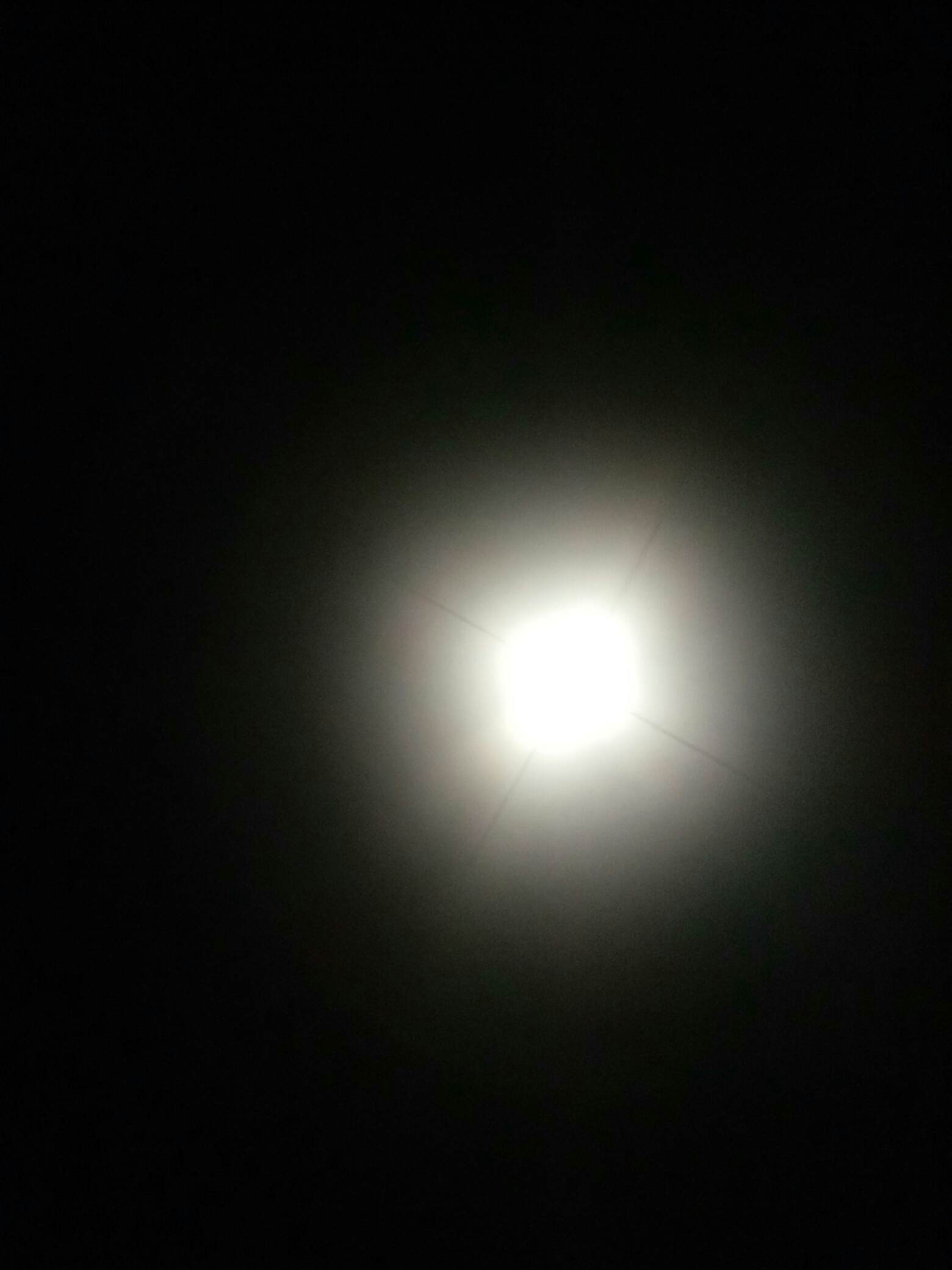 1632232471776704_199.jpg