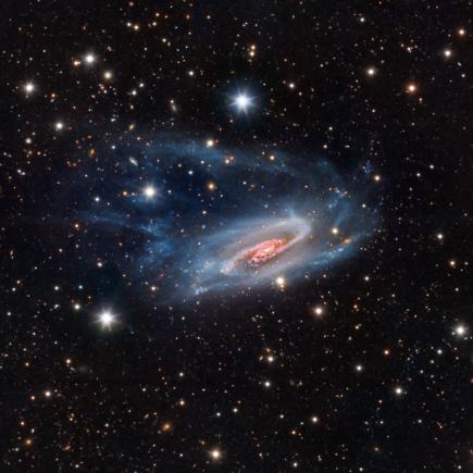 NGC 3981