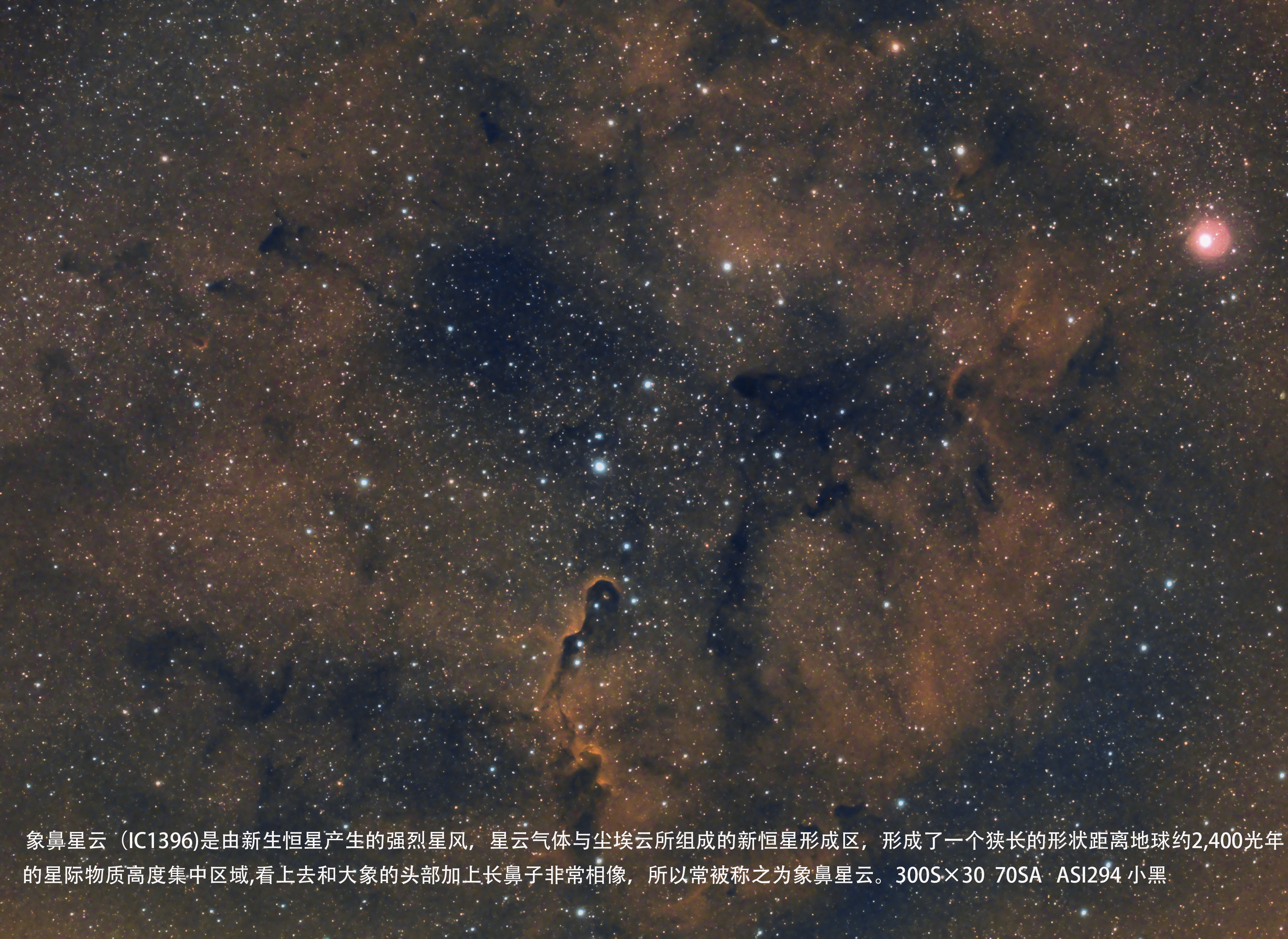 象鼻星云（IC1396）.jpg