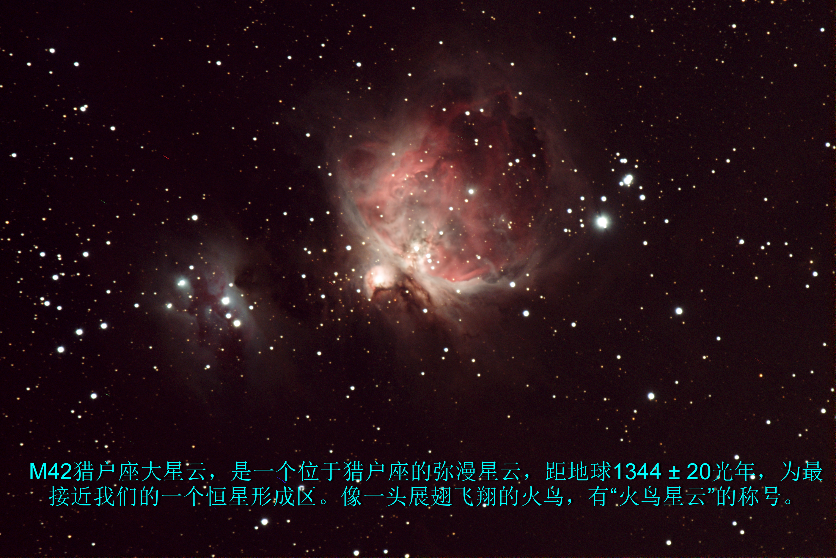 m42-png1a_调整大小.png