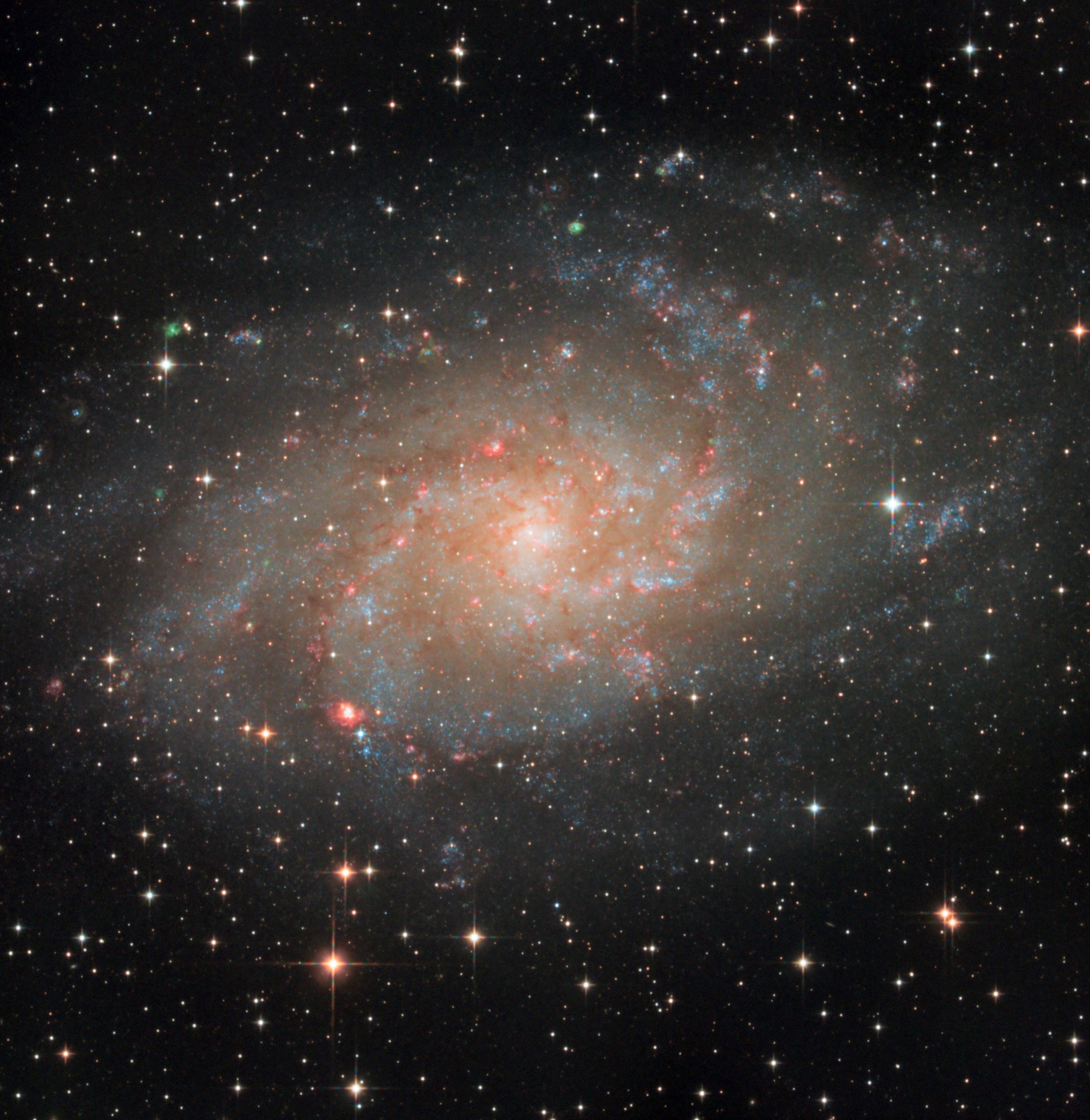 M33