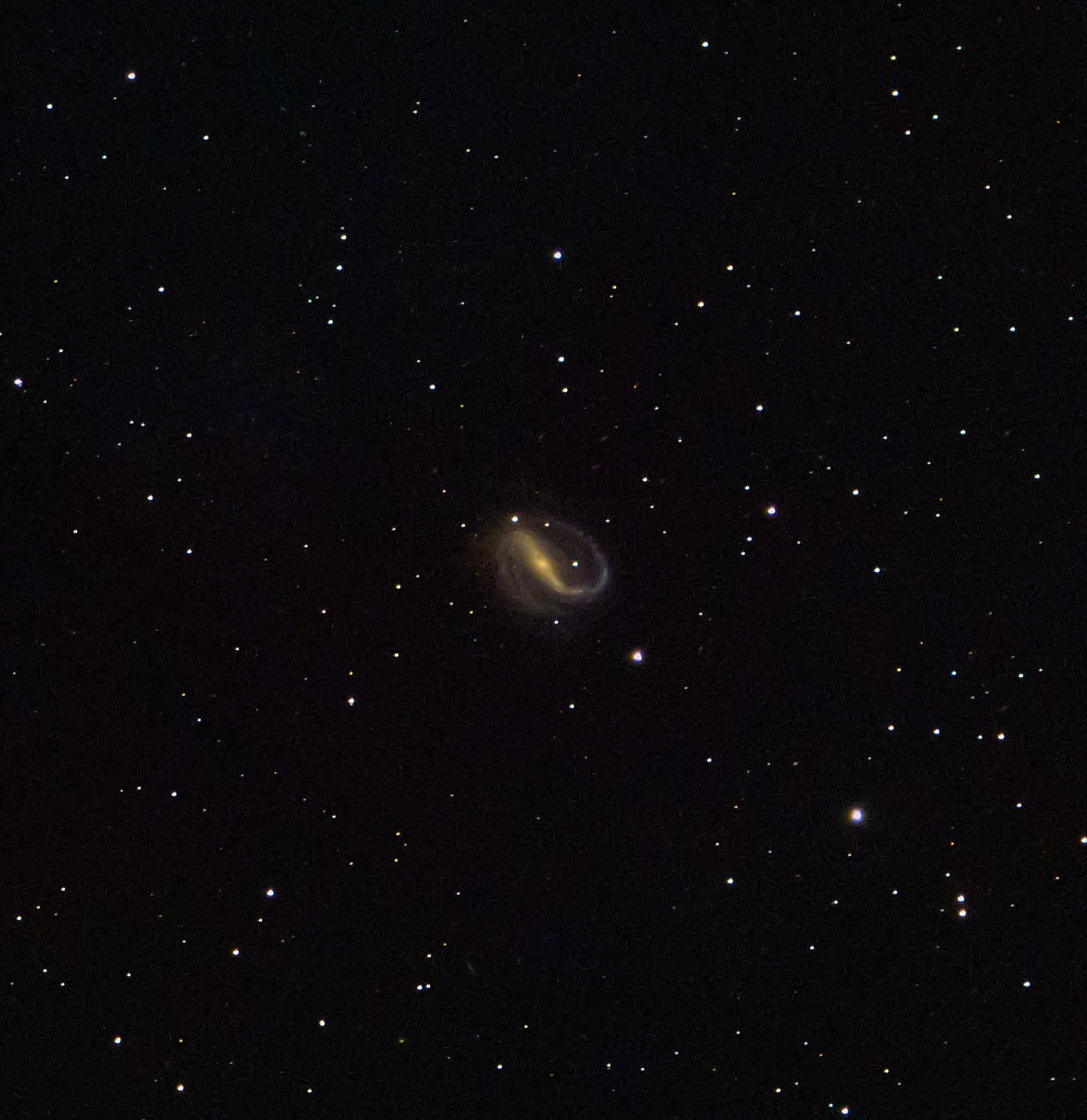 51-55-C44-NGC7479.jpg