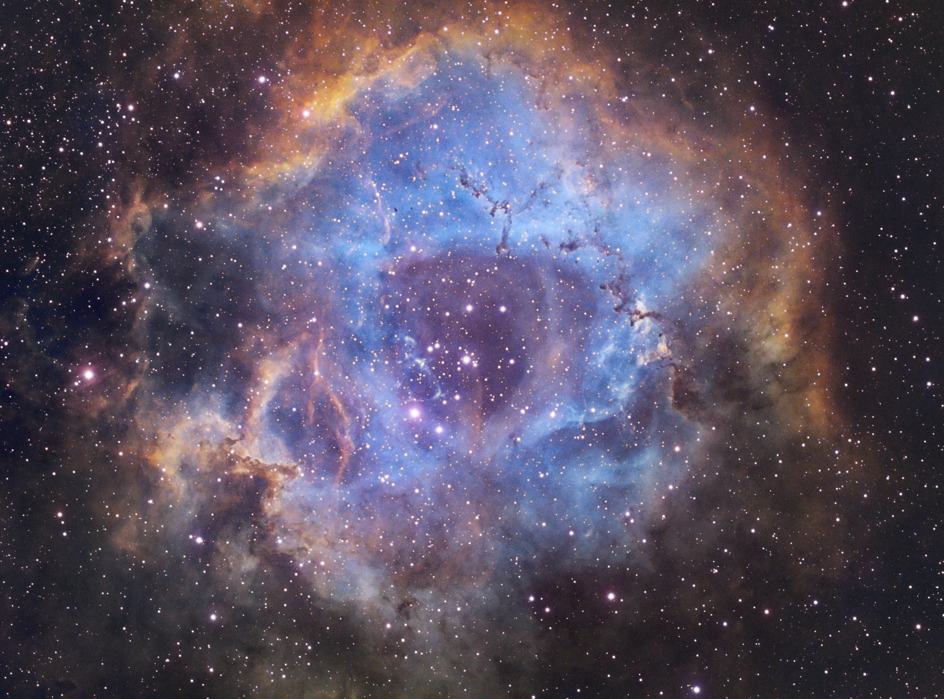 NGC2244_SHO_Final_Star.jpg