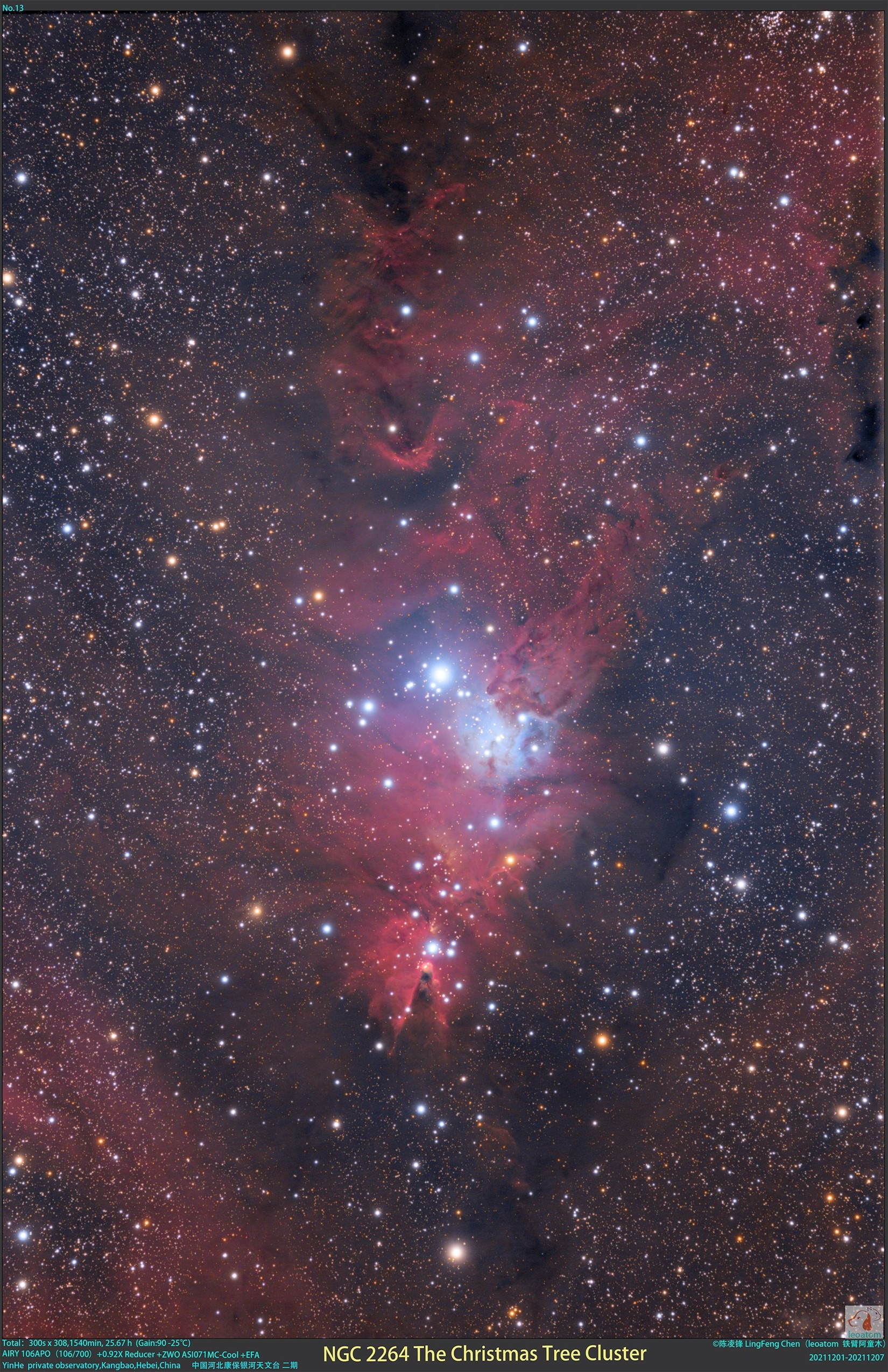 NGC2264圣诞树