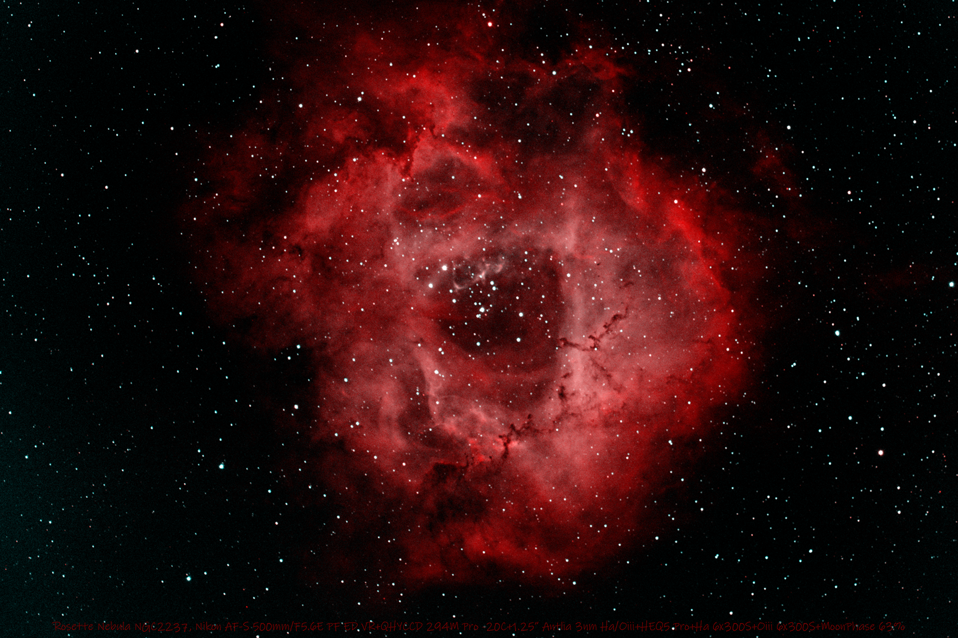 Rosette Nebula HO 1920x1280.png