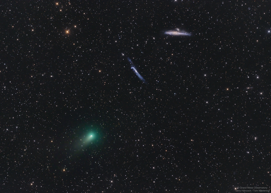 The Comet, the Whale, and the Hockey Stick  QHY410 QHY600 Terry Hancock.jpg