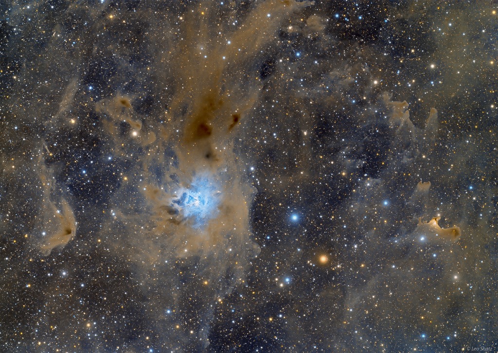 Iris nebula 鸢尾花星云（Leo Shatz）.jpg