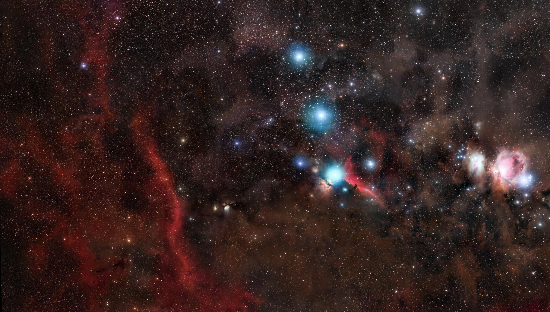 the stars of Orion 35panel mosaic, 16200a, matt harbison.jpg