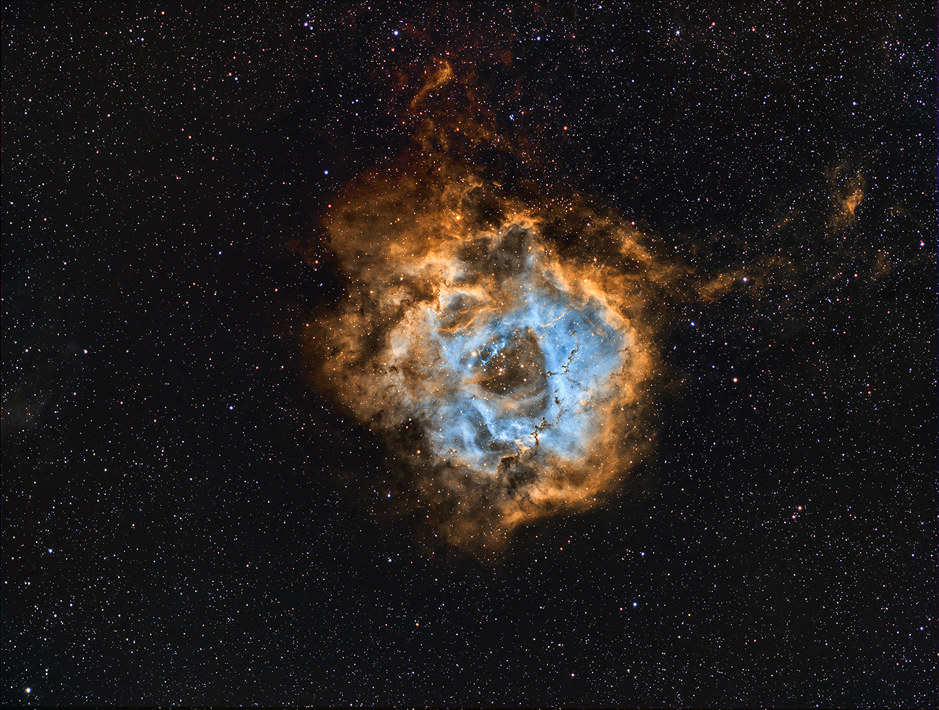 NGC2244.jpg