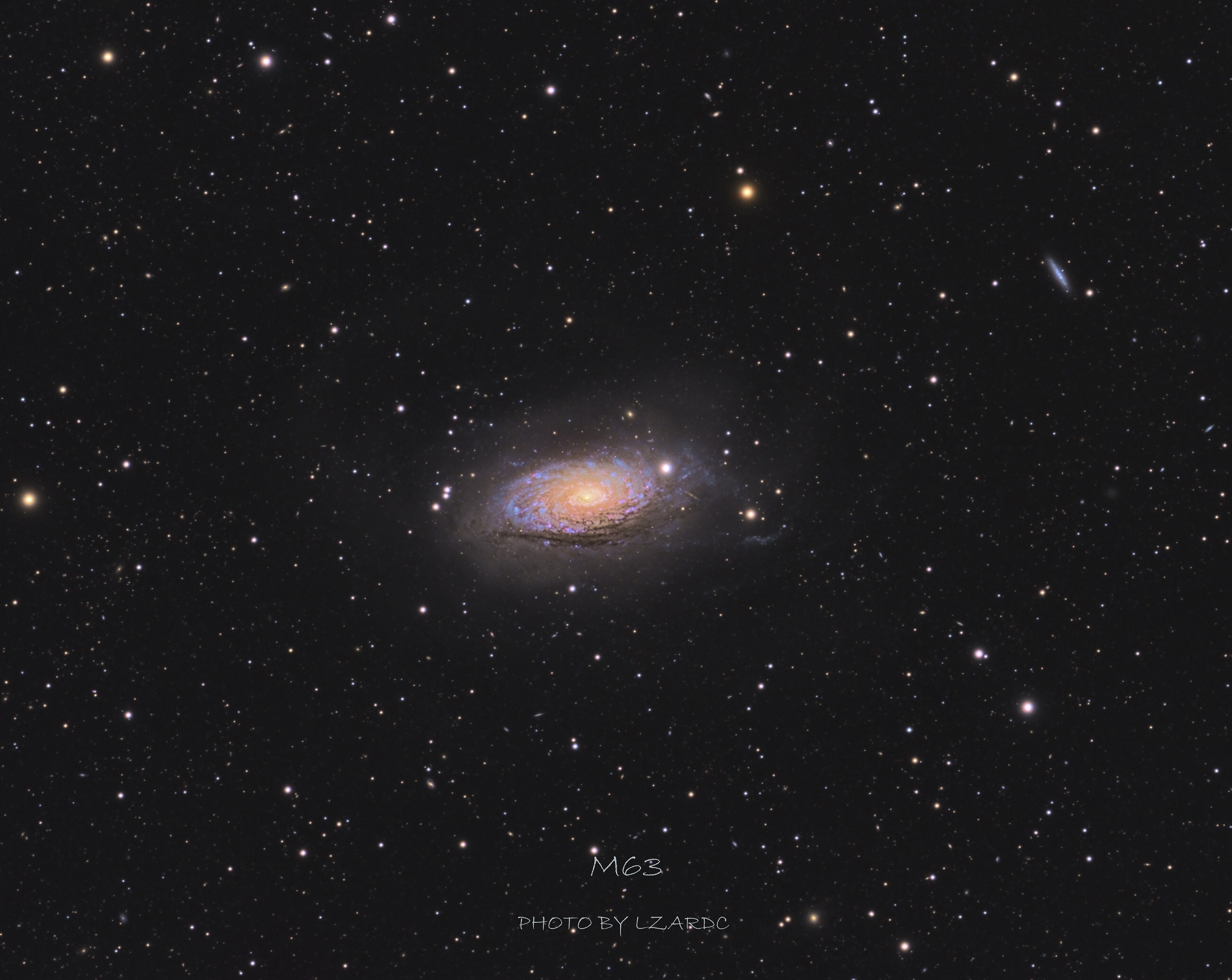 m63-1.jpg