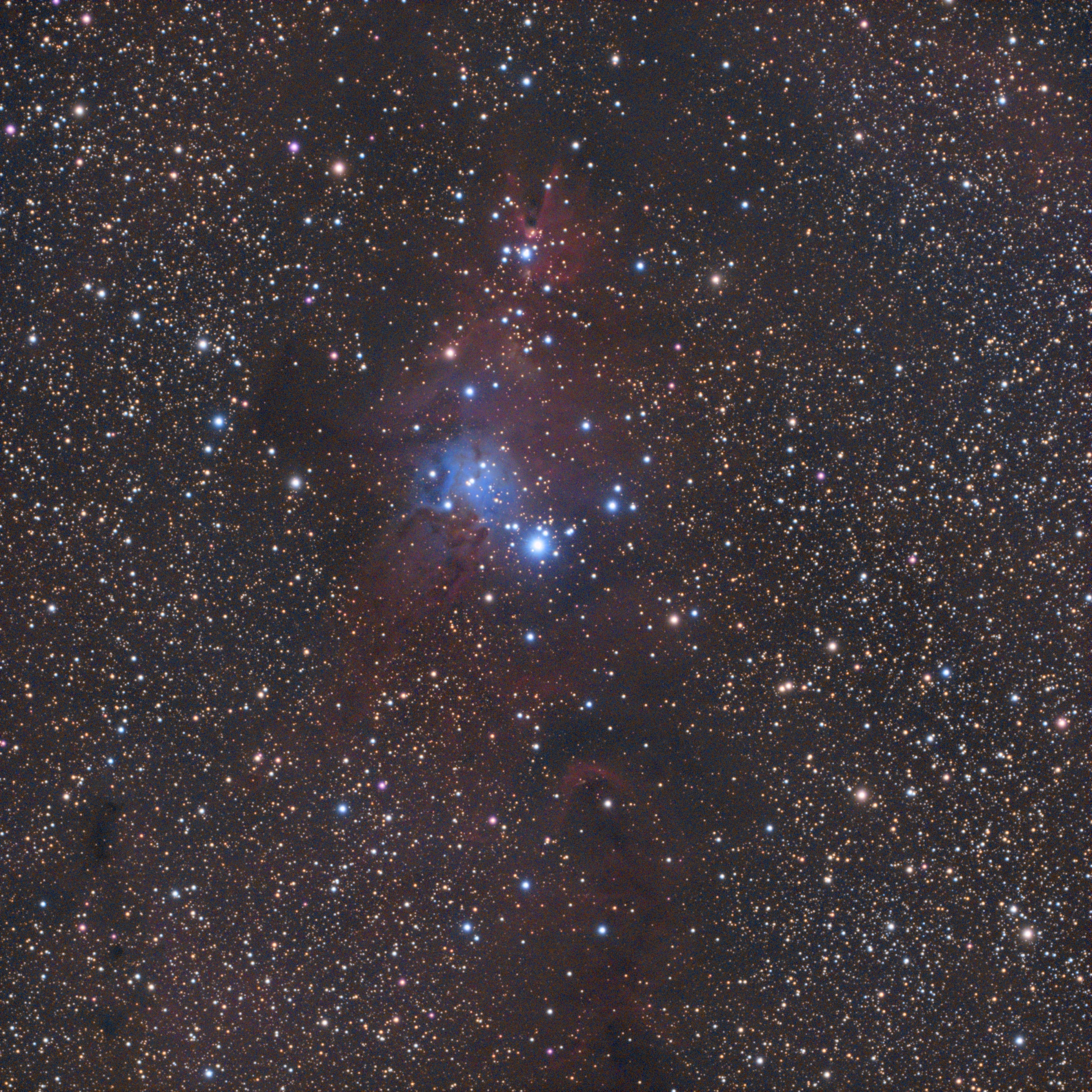 ngc2264.jpg