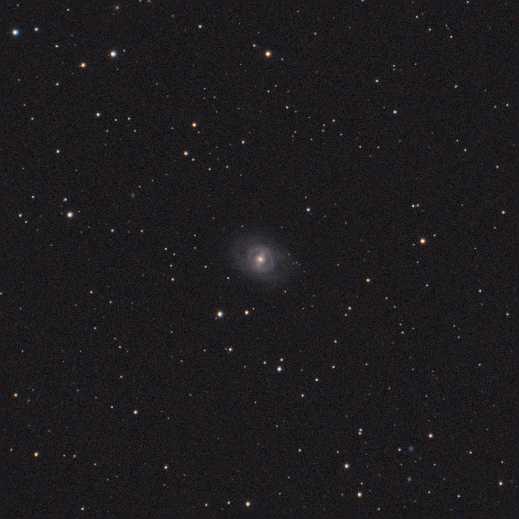 m95.jpg