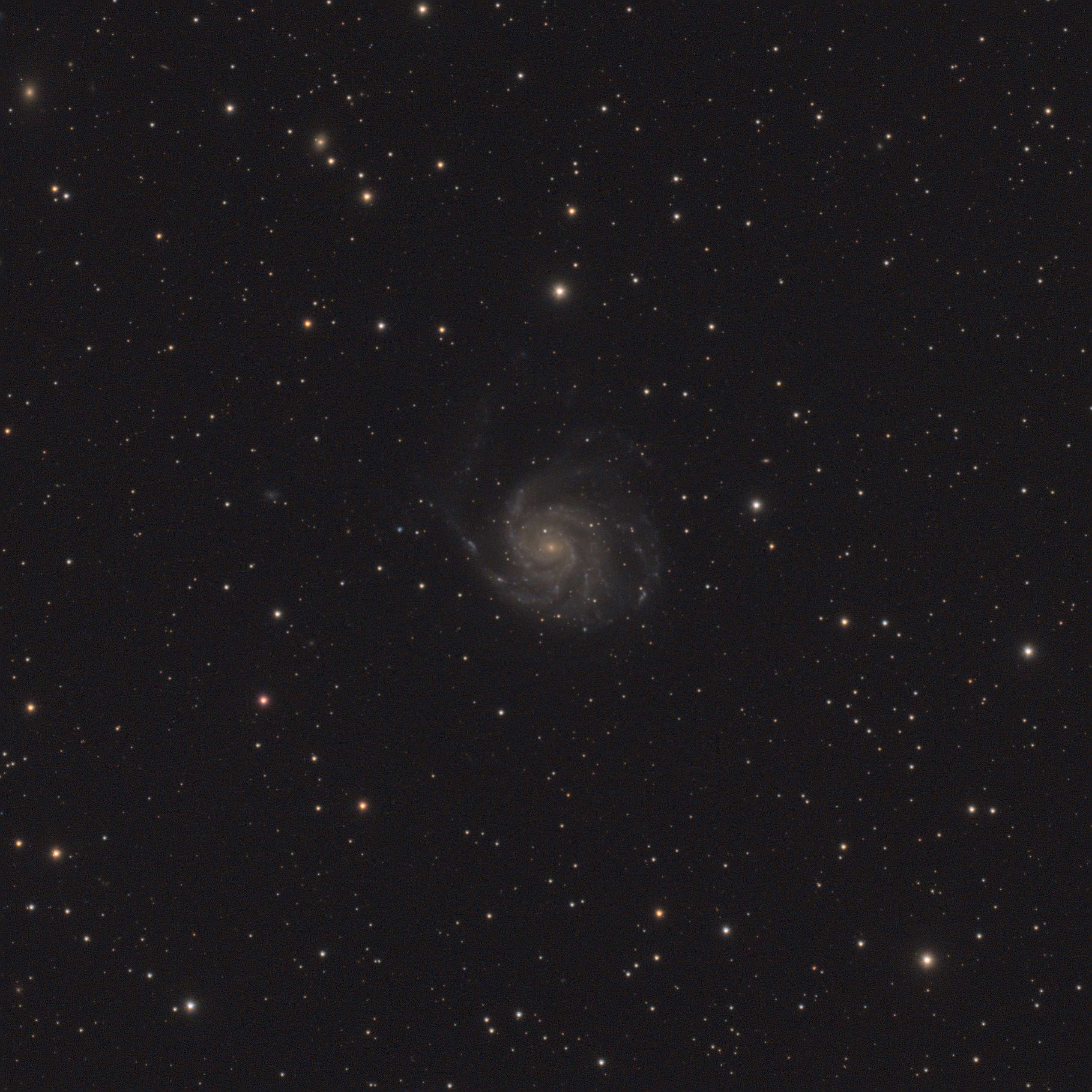 m101.jpg