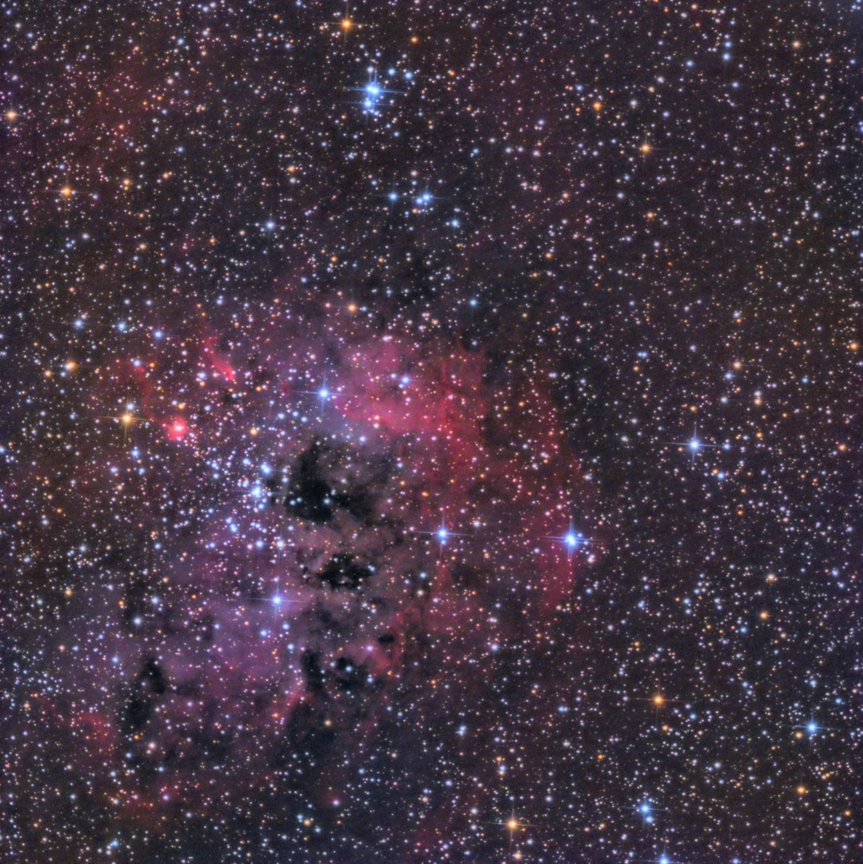 IC410.jpg