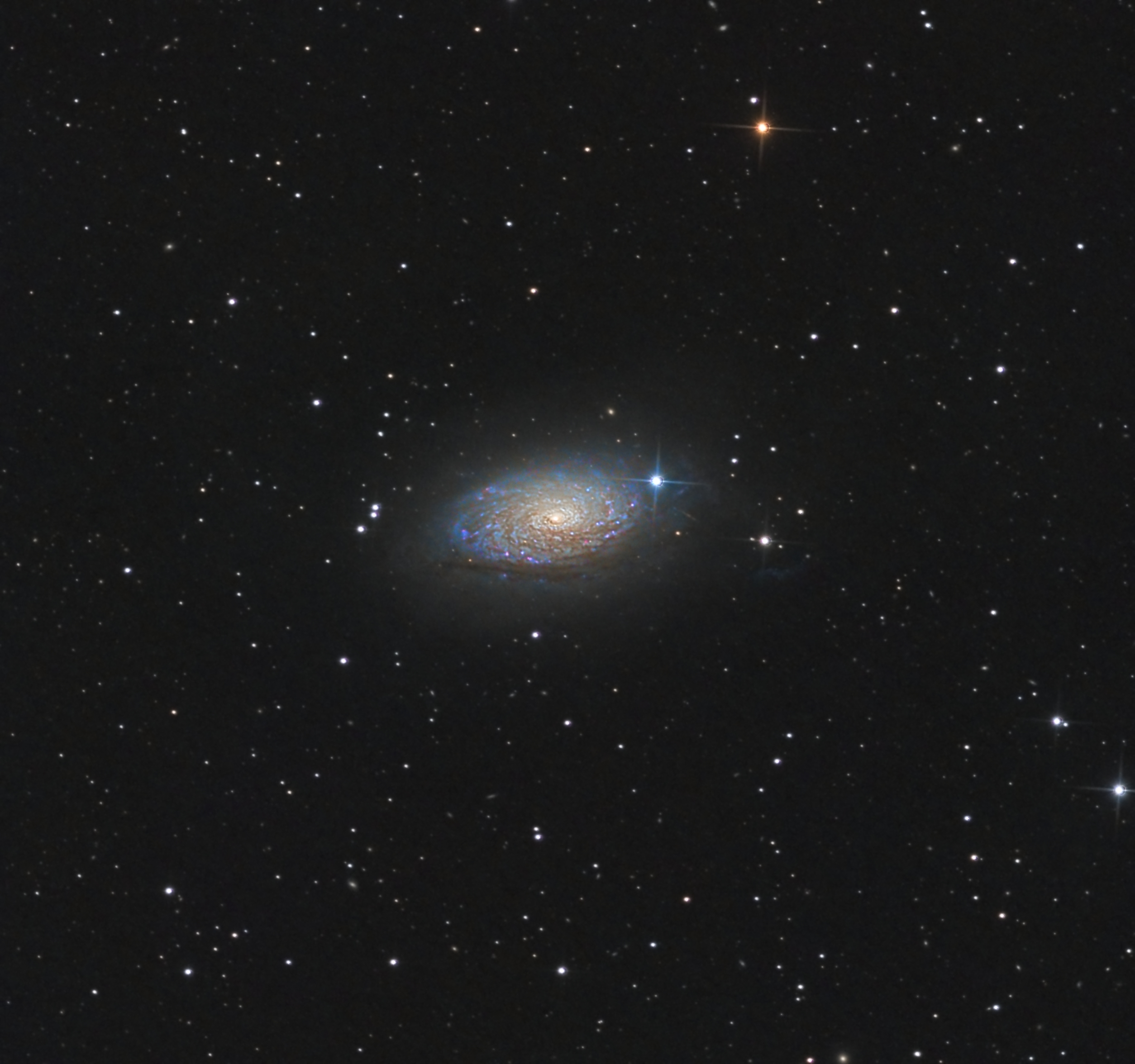 M63-11.8H.jpg