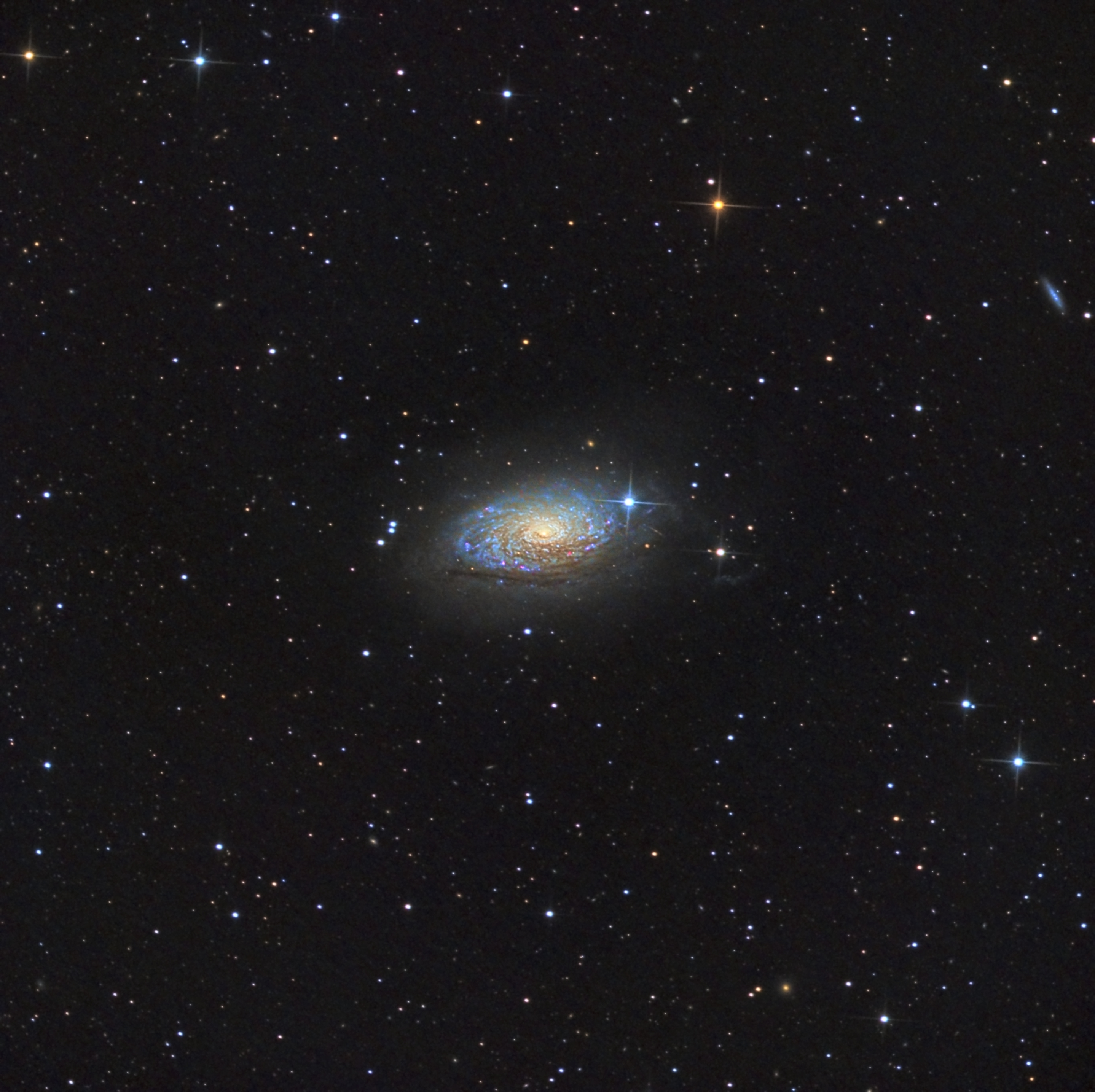 M631.jpg