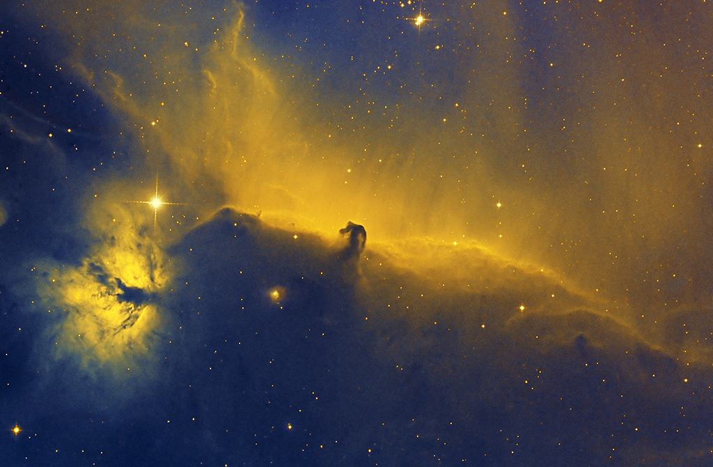 horsehead1024.jpg