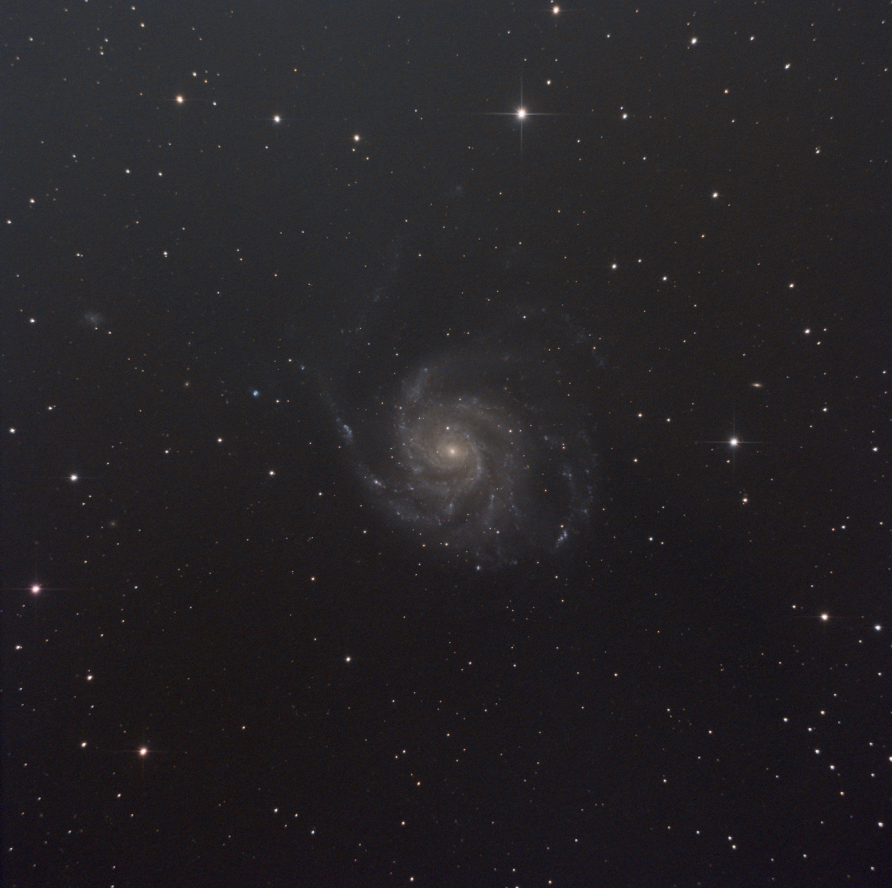 M101.jpg