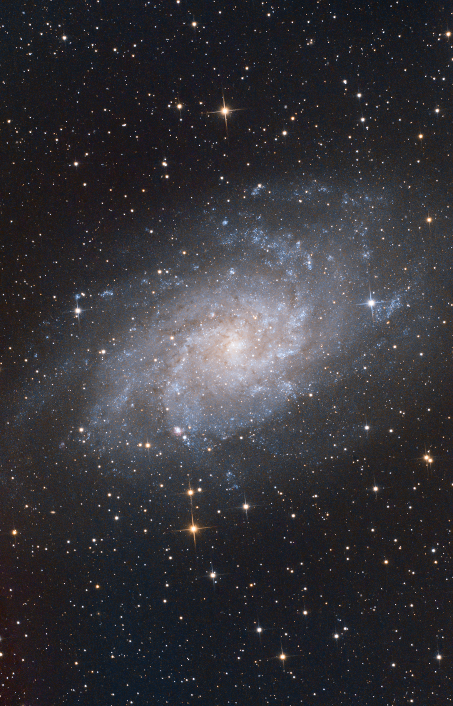 m33