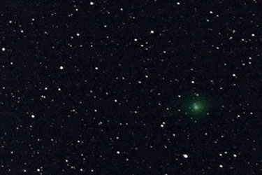 delinLovejoy01.jpg