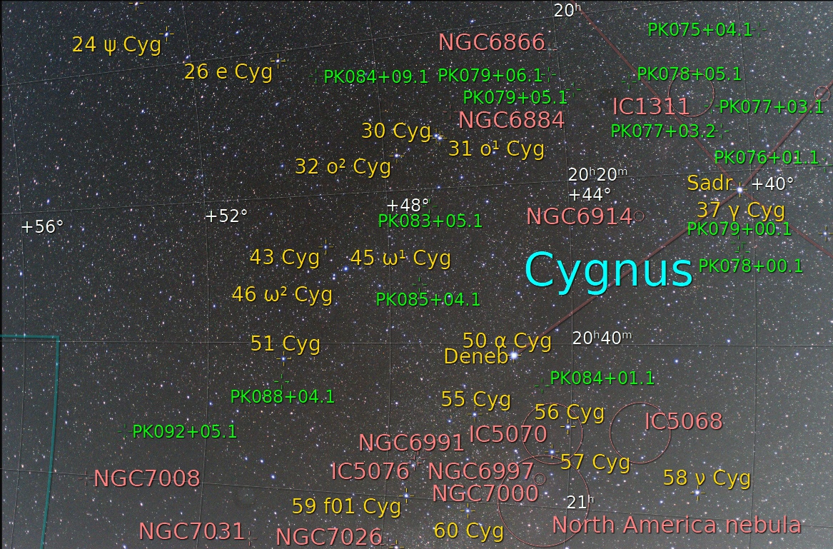 cygnus.jpg