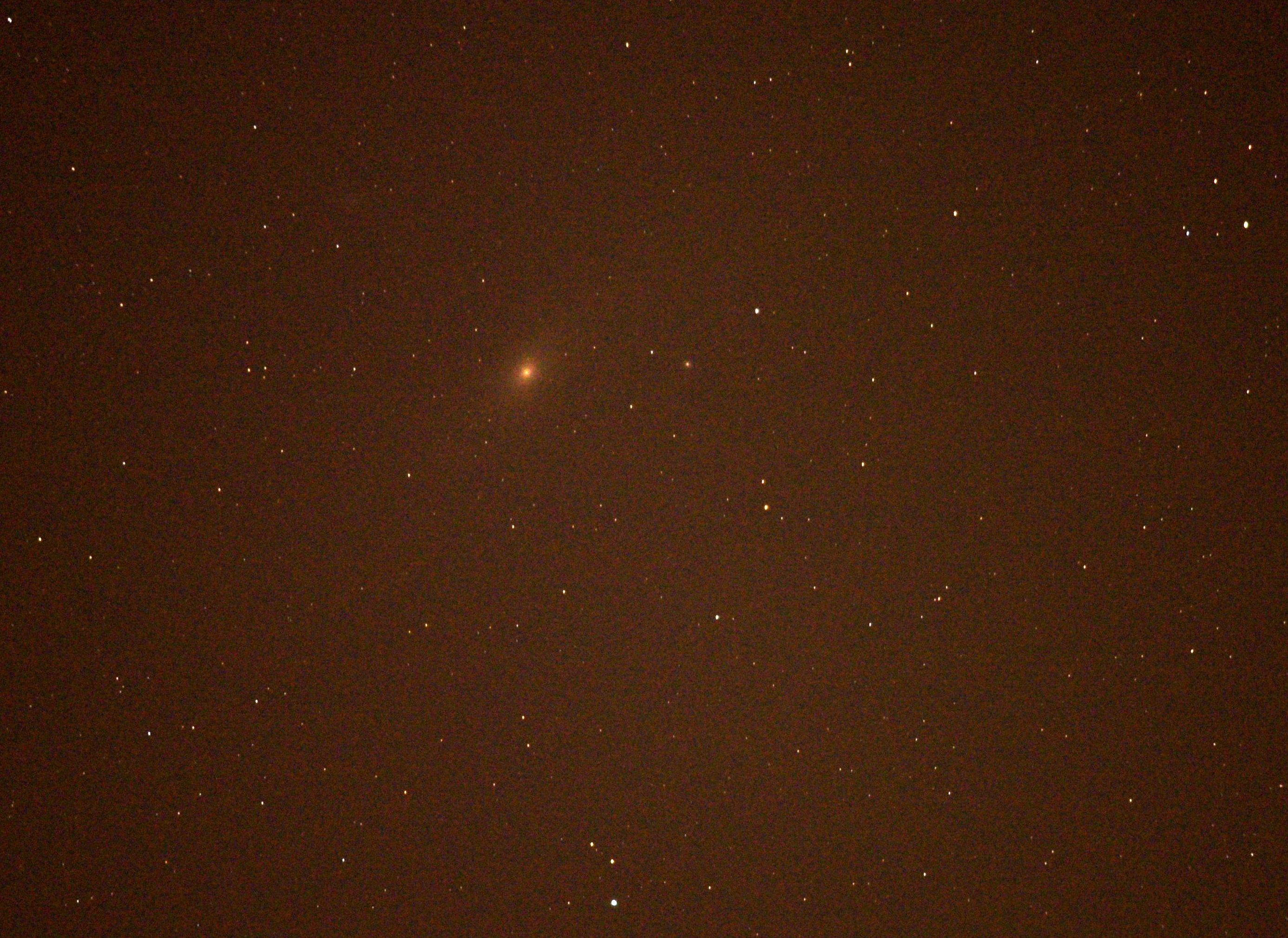 M31