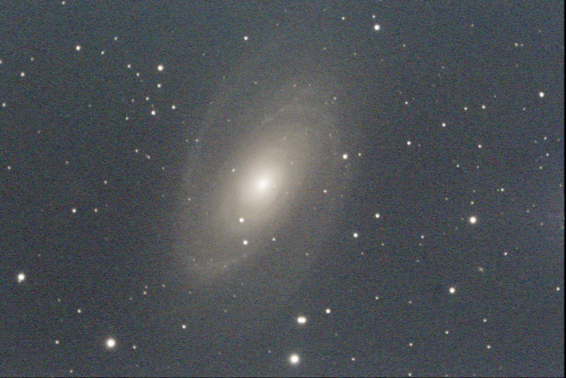 m81222clet.jpg