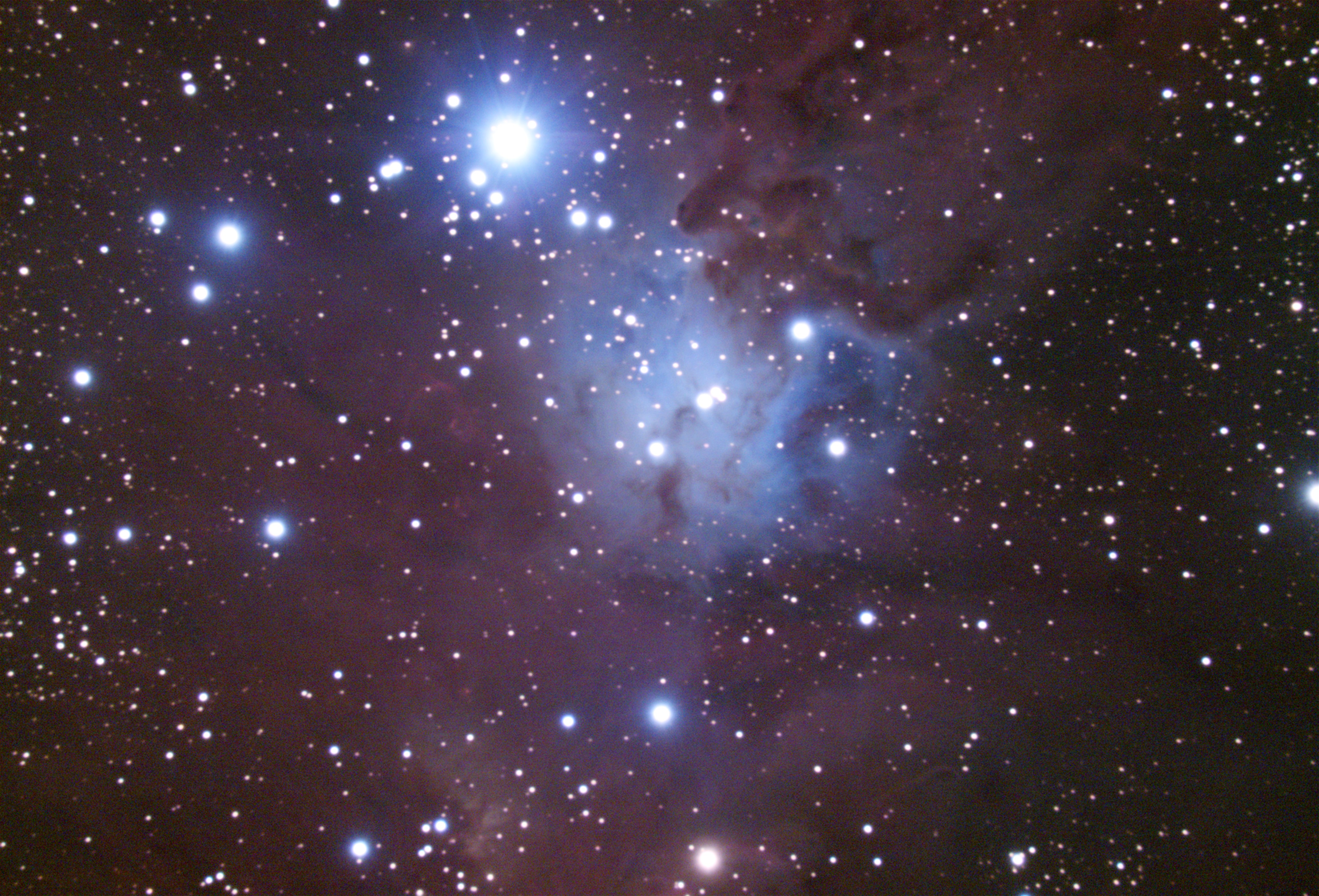 NGC2264(8.5).jpg