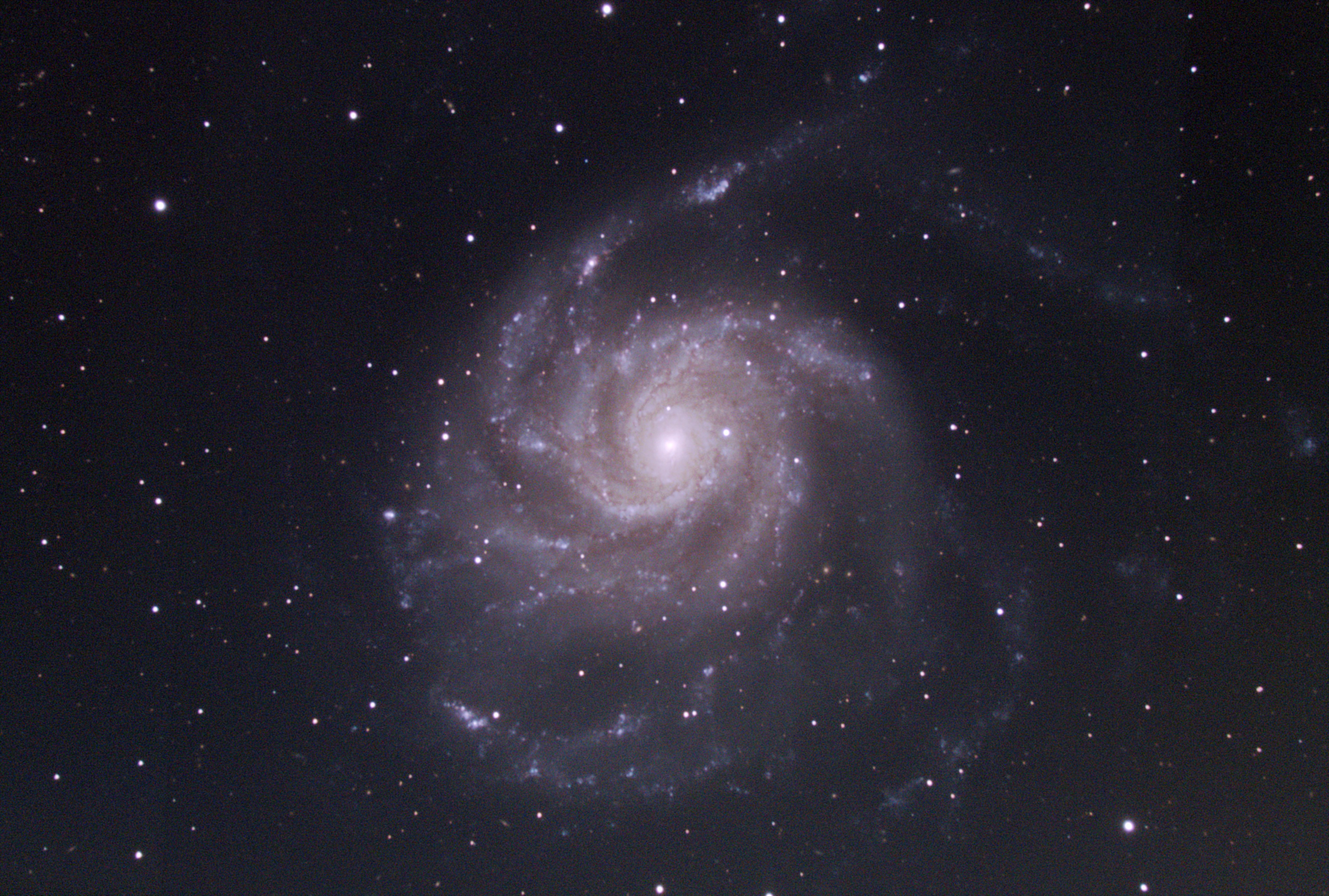 M101(20).jpg