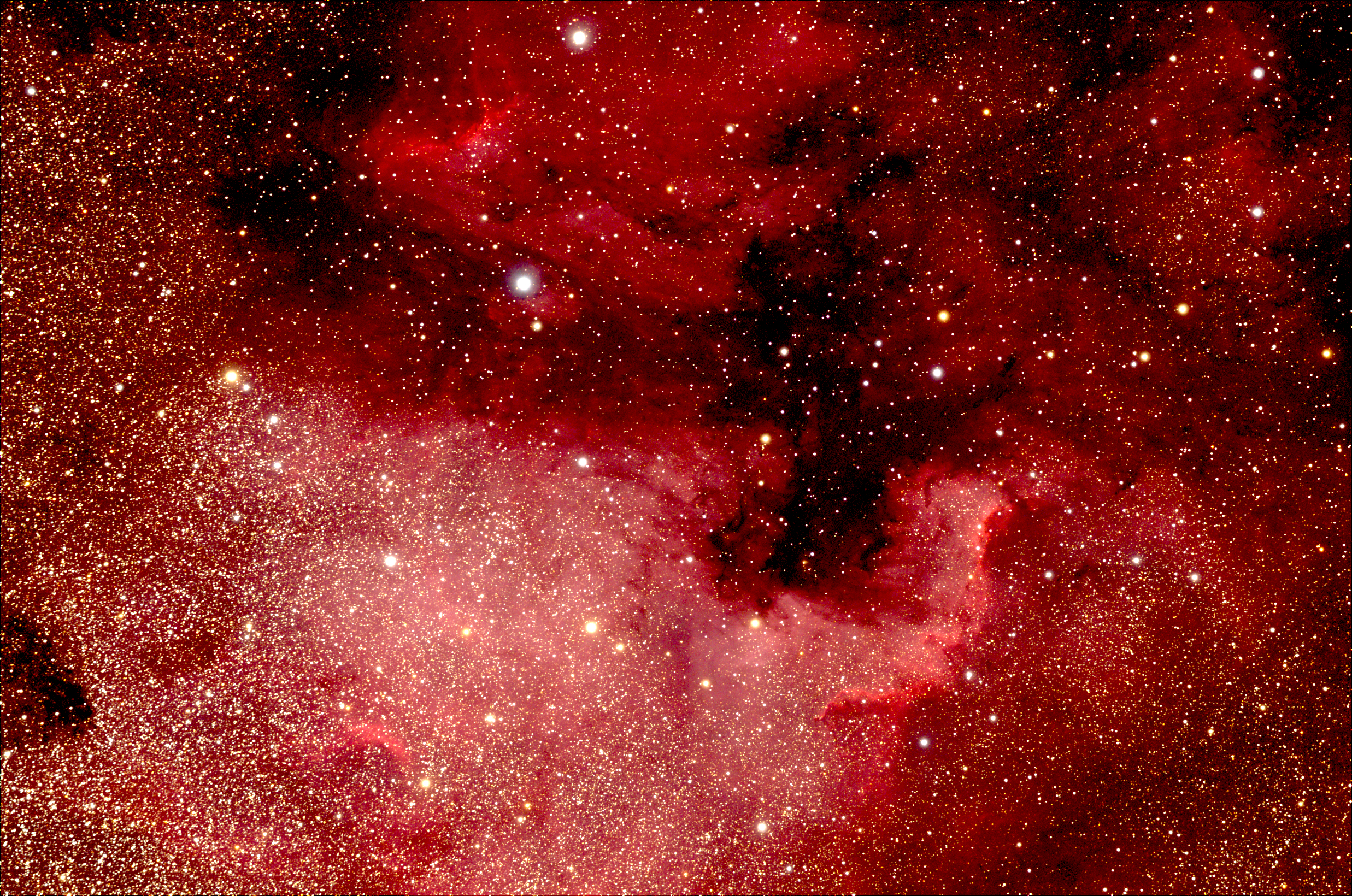 ngc7000 北美洲星云