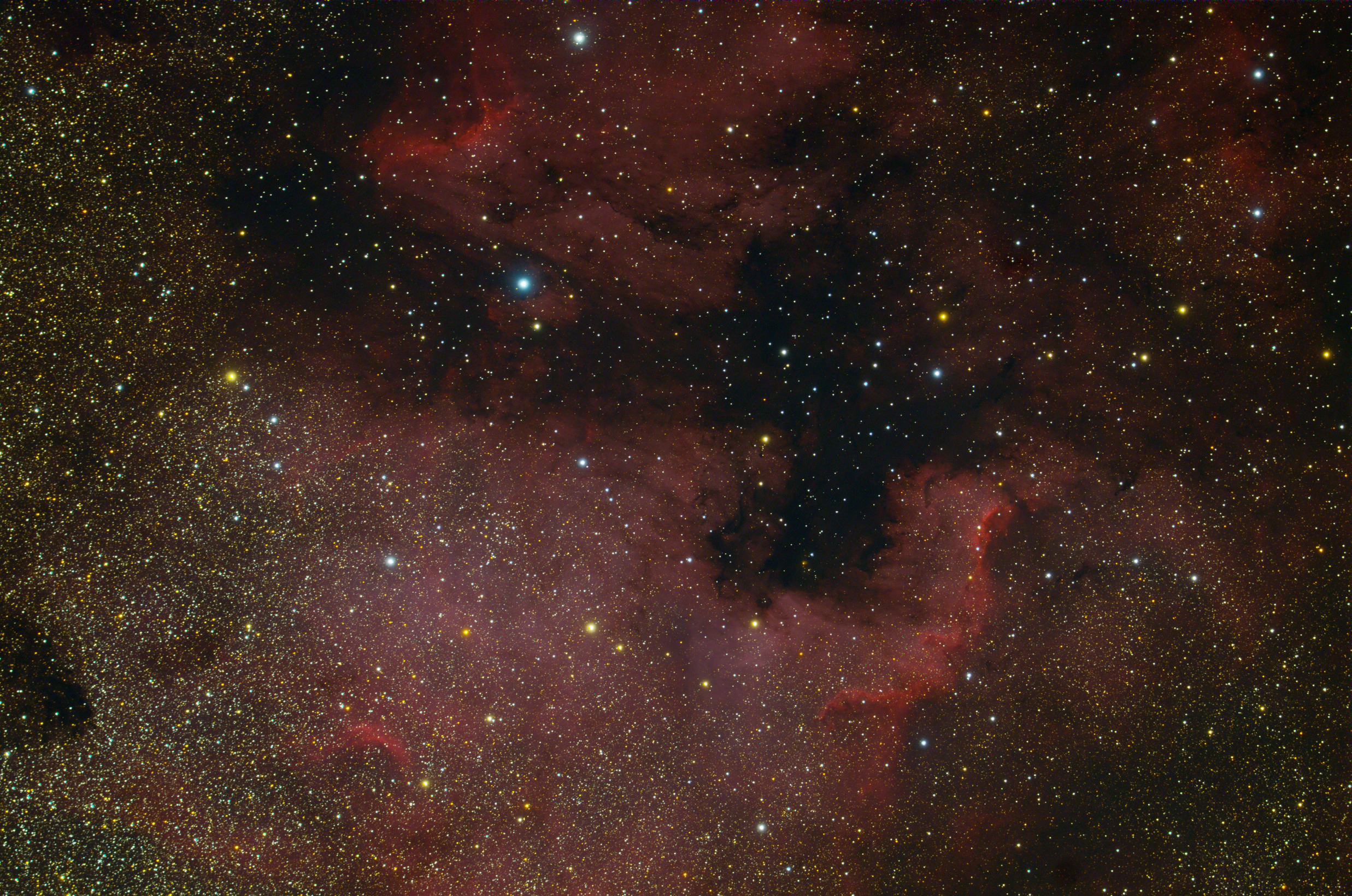 ngc7000 北美洲星云