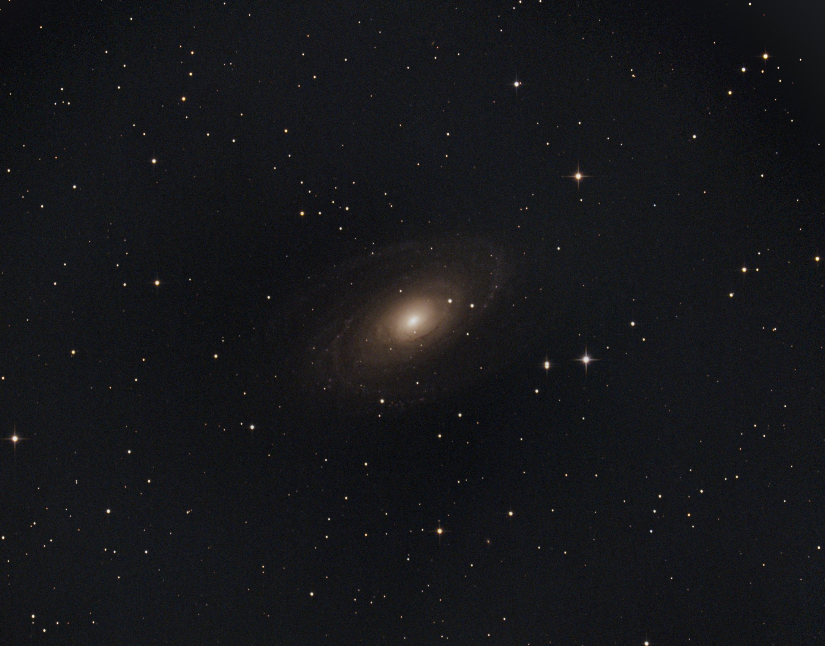 M81