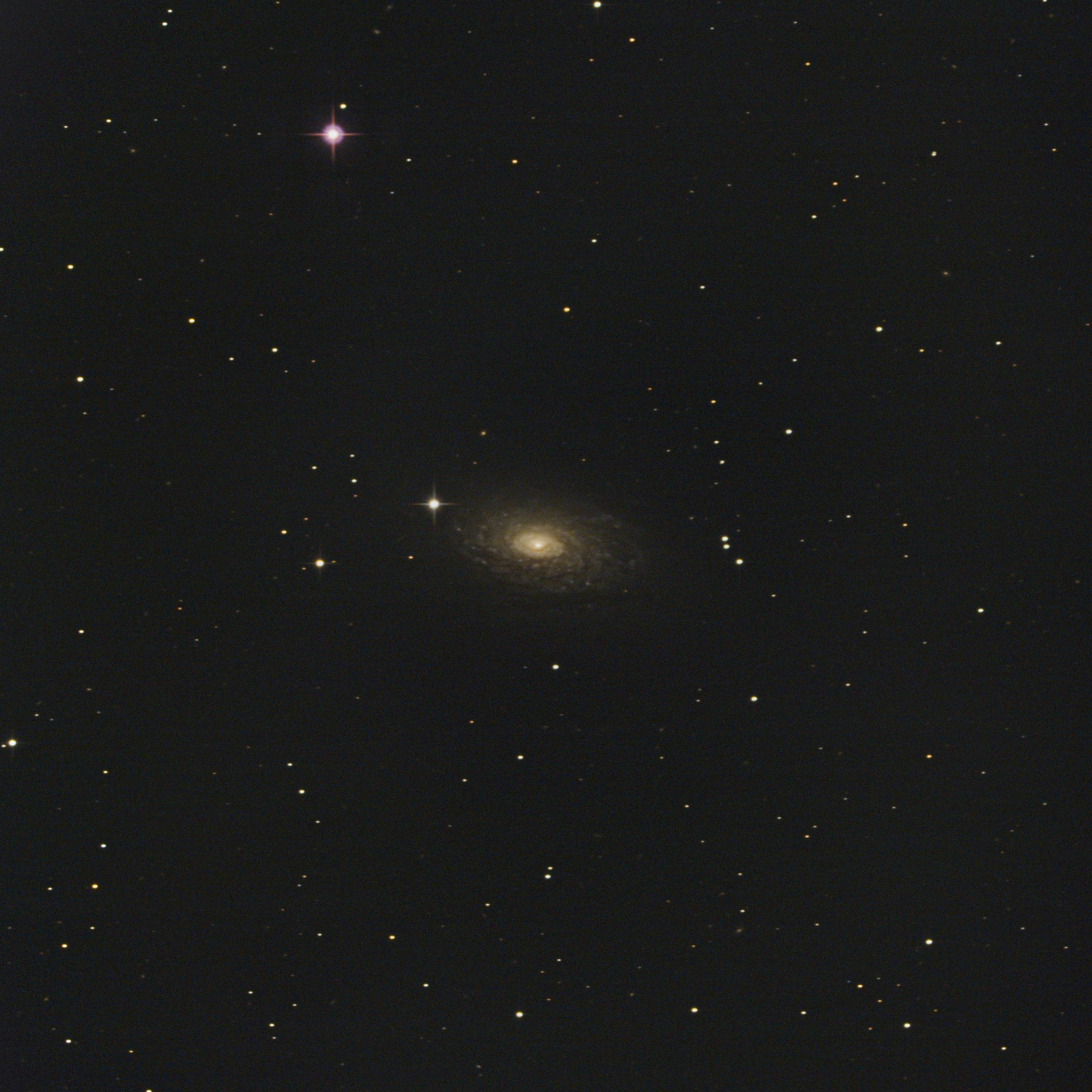 M63