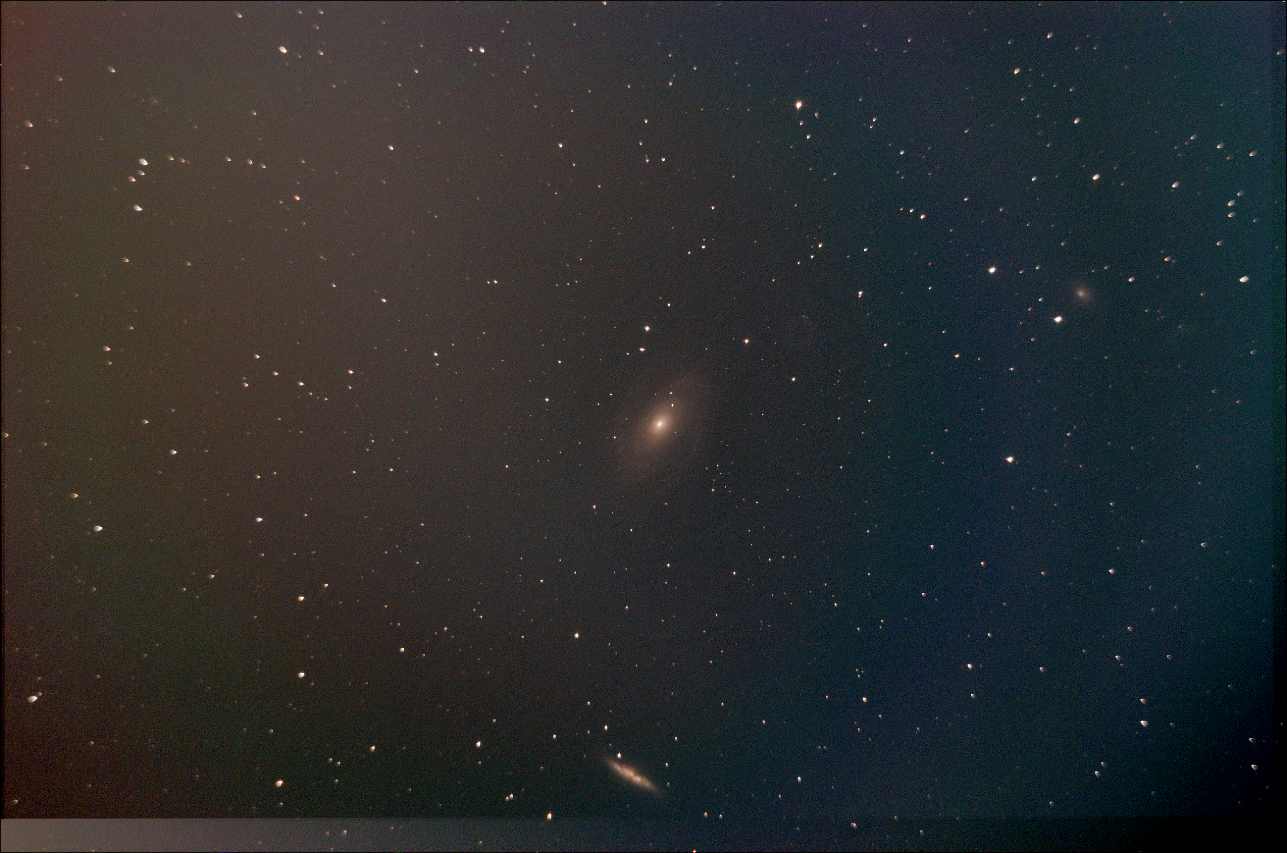 M81