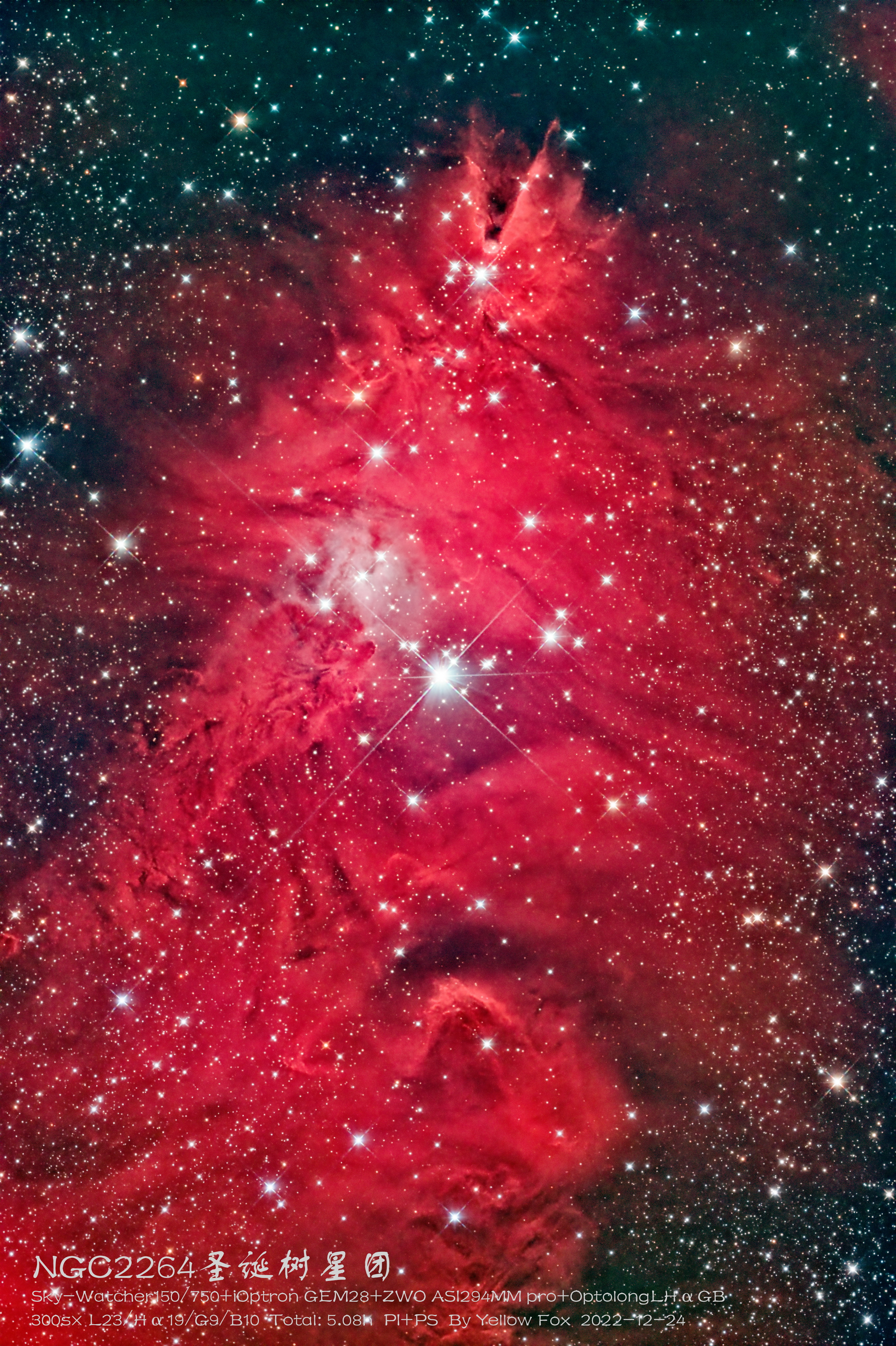 NGC2264圣诞树星团